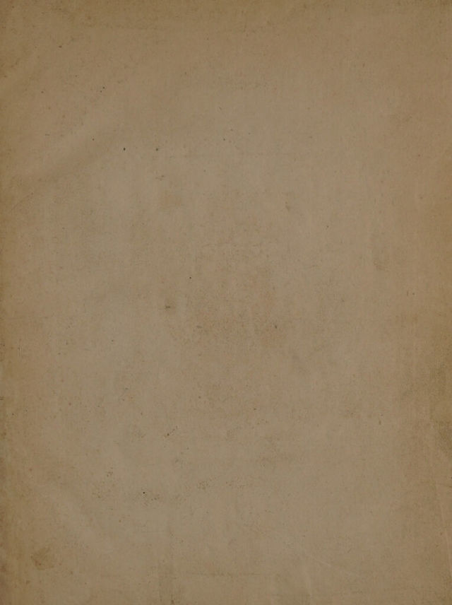 digitised image 3