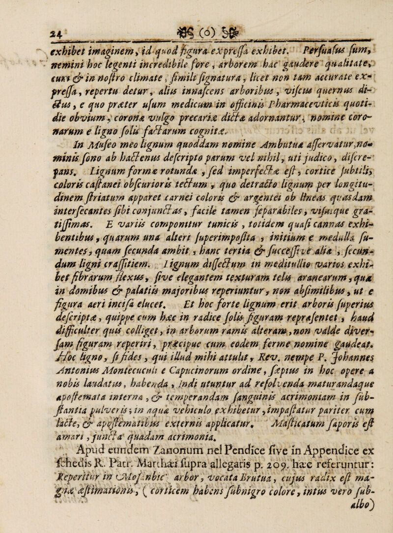 *♦ . ^ (o) S» __ exhibet imaginem, id quod figura expreffa exhibet. Perfuafus ftim, nemini hoc tegenti incredibile fore , arborem hac gaudere qualitate* eum & in nofiro climate, fimilt fignatura ? licet non tam accurate ex- preffa, repertu detur, alus innajcens arboribus 5 vtjcw qnemus di- 3 r quo prteter ufum medicum in officinis pharmacevtick quoti¬ die obviumy corona vulgo precaria ditia adornantur* nomine coro¬ narum e ligno folu faliarum cognita* In Mufeo meo lignum quoddam nomine Ambutua affer v ai ur\no* minis fono ab h alienus de fer ipto parum vel nihil? uti judico* difire- I»##*, Lignum for m* rotunda ?fed imp er felix efi * cortice Jubtili* cjoloris cafianei obfurior is telium ? quo detralio lignum per longitu¬ dinem Jlriaturn apparet carnei coloris & argentei ob tineas quasdam int erfecantes fibi conjunli as, facile tamen fe parabiles, vijaique gra- tijpmas. E variis componitur tunicis , totidem qmfi cannas exhi¬ bentibus, quarum una ait er t fuperimpofita * initium e medulla fu¬ ment es? quam fecunda ambit, hanc tertia & fucceffie alia , fecun ¬ dum ligni crafftiem* 1 ignum difetlum in meditullio varios exhi¬ bet fibrarum flexus, ftve elegantem texturam felts aranearum, qua in domibus & palatiis majoribus reperiuntur ? non abfimilibus, ut e figura aeri inctfa elucet« Et hoc forte lignum erit arboris fuperius deferiptx, quippe cum hxc in radice Jolis figuram repr a jentet, haud difficulter quis colliget, in arborum ramis alteram, non valde dpver* jam figuram repertri, prscapue cum eodem fer me nomine gaudeat. Hoc ttgno, ftfides ? qui illud mihi attulit ? Rev. nempe P» Johannes Antonius Montecucuii e Capucinorum ordine, feptus in hoc opere a nobis laudatus , habendo »Indi utuntur ad refolvenda maturandaque apofietnata interna * & temperandam [anguinis acrimoniam in fub- fiantia pulveris * in aqua vehiculo exhibetur 5 impaflatur pariter cum lacie* £r apoffemaubm externis applicatur♦ Ala ficatum faporis efi amari * junci a quadam acrimonia* , Apud eundem Zanonum nel Pendice five m Appendice ex fdhedisR. Pacr. Marthadjfupra allegaris p, ioffhxc referuntur: Meperiiur in tJtlofnbic' arbor? vocata Bruttia, cujus radix e fi ma- giM ffiibationis corticem habens fubnigro colore , intus vero fub-