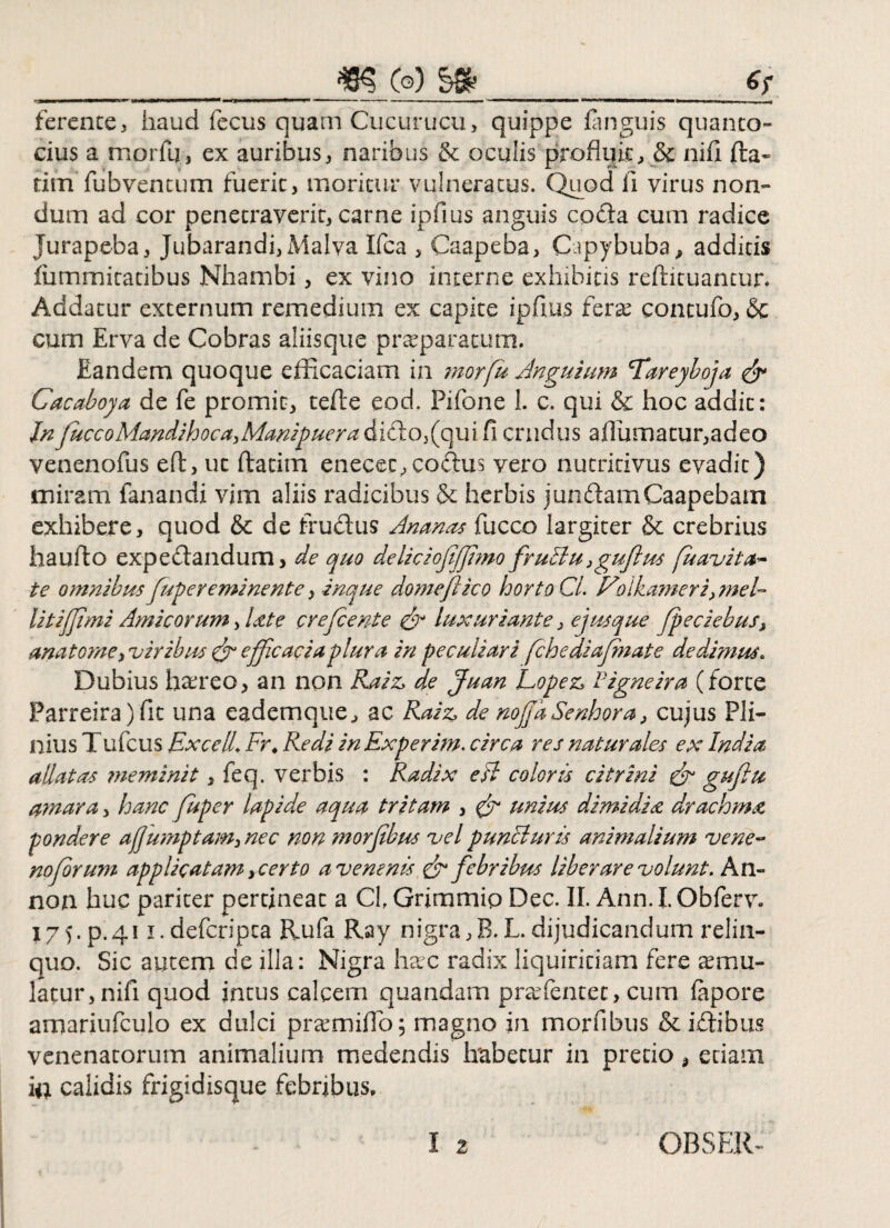 ___rn (o) __£r ferente, haud fecus quam Cucurucu, quippe (anguis quanto¬ cius a morfu, ex auribus, naribus & oculis profluit, & nifi fta* tim fubventum fuerit, moritur vulneratus. Quod ii virus non¬ dum ad cor penetraverit, carne ipfius anguis coda cum radice jurapeba, Jubarandi, Malva Ifca , Caapeba, Capybuba, additis iummitatibus Nhambi, ex vino interne exhibitis reftituantur. Addatur externum remedium ex capite ipfius fera? contufo, & cum Erva de Cobras aliisque praeparatum. Eandem quoque efficaciam in morfu Anguium Tareyboja <&* Cacaboya de fe promit, tefle eod. Pifone 1. c. qui & hoc addic: InJuccoMandihoca3Manipuera dido,(qui fi crudus aflumatur,adeo venenofus eff, ut (fatim enecec,codus vero nutriti'vus evadit) miram fanandi vim aliis radicibus & herbis j undam Caapebam exhibere, quod & de frudus Ananas fucco largiter & crebrius haufto expedandum, de quo deliciofijfmo fruBu 3guftus fuavita- te omnibus fuger eminente, inque domefiico horto CL Folkameri, mel¬ liti fimi Amicorum, late crefcente luxuriante, ejmque fpeciebus} anatonae, viribus & efficaciaplura in peculiari fchediafnate dedimus. Dubius haereo, an non Raiz> de Juan Lopez, Pigne ira (forte Parreira)fit una eademque, ac Raiz, de nojjaSenhora, cujus Pli¬ nius Tufcus Excel. Fr. Redi in Experim. circa res naturales ex India allatas ?neminit, feq. verbis : Radix e A coloris c i trini & gufiu amara, hanc fuper lapide aqua tritam , fr unius dimidia drachma pondere aj]umptam3nec non morjibus vel puncturis animalium vene~ nofrum applicatam ycerto a venenis & febribus liberare volunt. An- non huc pariter pertineat a Cl, Grimmip Dec. II. Ann. I. Obferv. 175. p.41 i.defcripca Rufa Ray nigra,B.L. dijudicandum relin¬ quo. Sic autem de illa: Nigra hac radix liquiritiam fere aemu¬ latur, nifi quod jntus calcem quandam praefentec, cum (apore amariufculo ex dulci praemiflb; magno in morfibus & idibus venenatorum animalium medendis habetur in precio, edam in calidis frigidisque febribus,