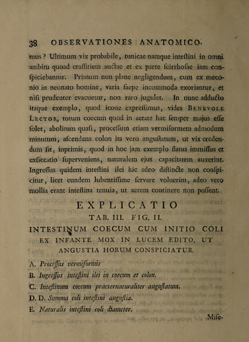 mus? Ultimum vix probabile, tunicae namque inteflini in omni ambitu quoad fcraffitiem auctae et ex parte fcirrhofae iam con- ipiciebantur. Primum non plane negligendum, cum ex meco¬ nio in neonato homine, varia faepe incommoda exoriantur, et nifi prudenter evacuetur, non raro jugulet. In nunc addudto itaque exemplo, quod icone expreflimus, vides Benevole Lector, totum coecum quod in aetate hac femper majus effe folet, abolitum quafi, proceifum etiam vermiformem admodum minutum, afeendens colon ita vero anguflatum, ut vix creden¬ dum fit, inprimis, quod in hoc jam exemplo flatus immiffus et exficcatio fuperveniens, naturalem ejus capacitatem auxerint. Ingreffus quidem inteflini ilei hic adeo diftindte non confpi- citur, licet eundem lubentiffime fervare voluerim, adeo vero mollia erant inteftina tenuia, ut aerem continere non poffent. EXPLICATIO TAB. III. FIG. II. INTESTINUM COECUM CUM INITIO COLI EX INFANTE MOX IN LUCEM EDITO, UT ANGUSTIA HORUM CONSPICIATUR. -Et •' A. Procejfus vermiformis B. Ingrejfus inteflini ilei in coecum et colon. C. Inteflinum coecum praeternaturaliter anguflatum. i D. D. Summa coli inteflini anguftia. E. Naturalis inteflini coli diameter. Mife-