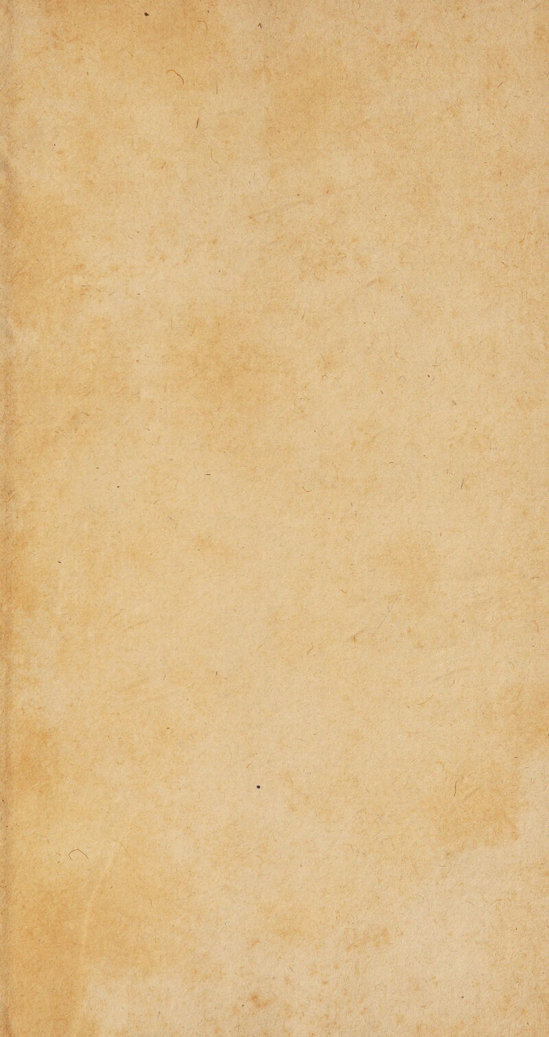 A ■ / ■; i- . V' ■& \