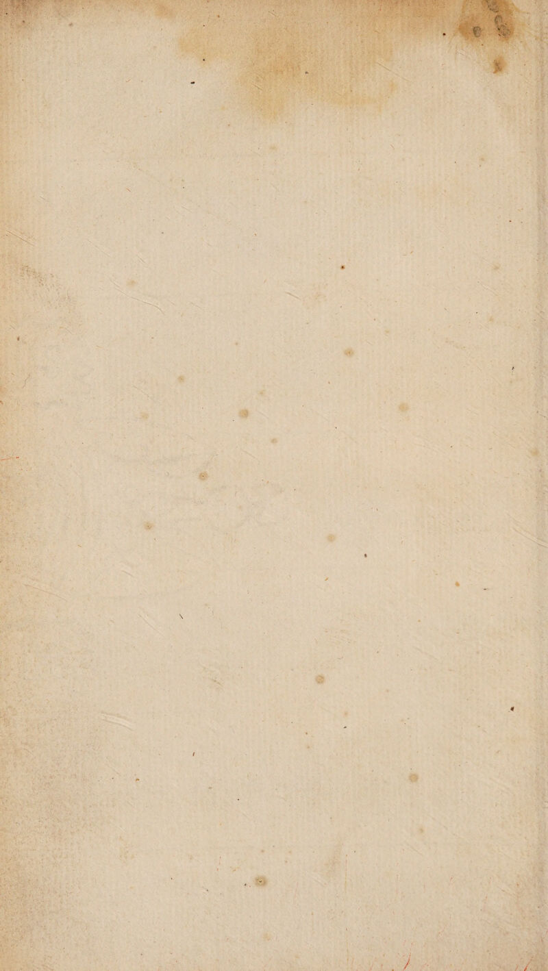 (< 1 4 \ « « ' ■ / ? '■ i . • / f ■J