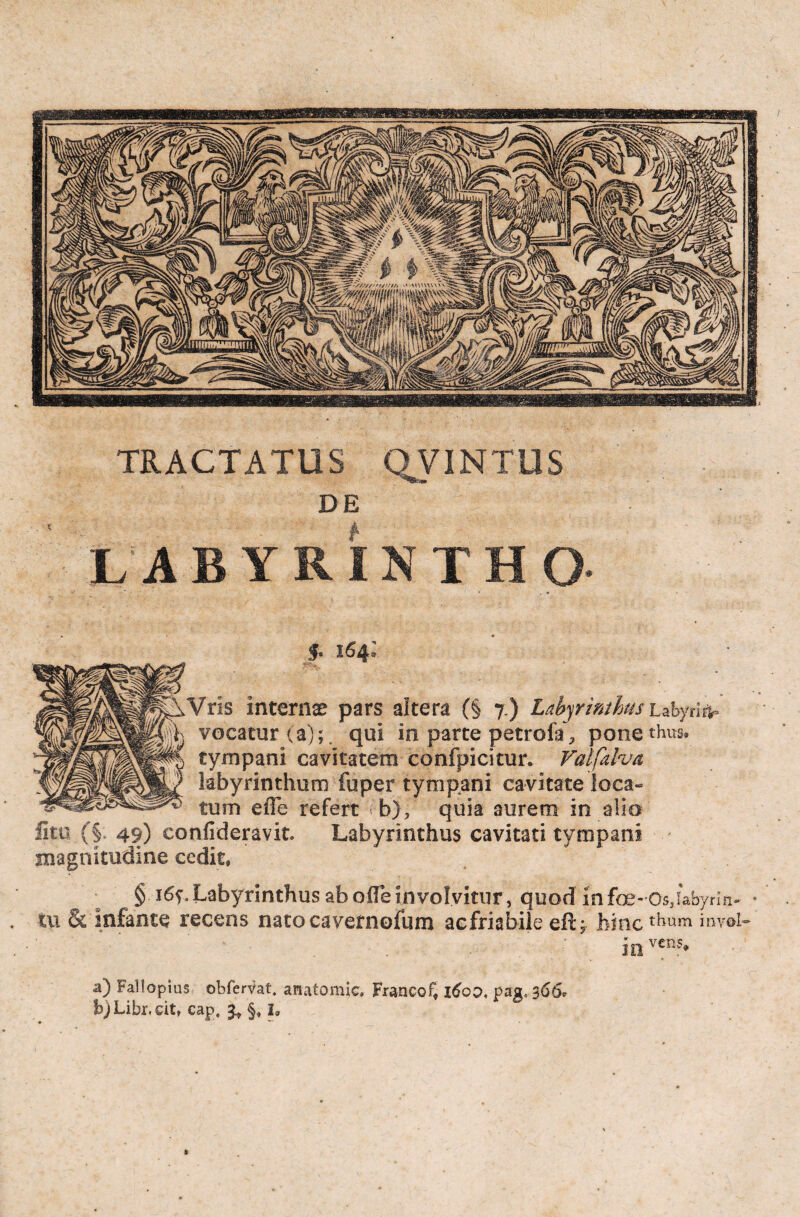 «mm 'wmmm >nu\uu^- >/////'//,'//// TRACTATUS QVINTUS DE A B Y R IN T H O (§ 7 ) labyrinthus hzhynifr vocatur 1 a);. qui in parte petrofa P pone thus® tympani cavitatem confpicitun Valfalva labyrinthum fuper tympani cavitate loca¬ tum efTe refert b), quia aurem in alio litu (§; 49) confideravit. Labyrinthus cavitati tympani magnitudine cedit» §165',Labyrinthus aboffeinvolvitur, quod infoe-'Os,iabyrin* • tu & infante recens nato cavernofum acfriabile eft; hinc thum invol- in V€ES* a) Fallopius ohfervat. anatomic. Francof, i6qc>, pag, 366* bjLibr.cit, cap. §» h