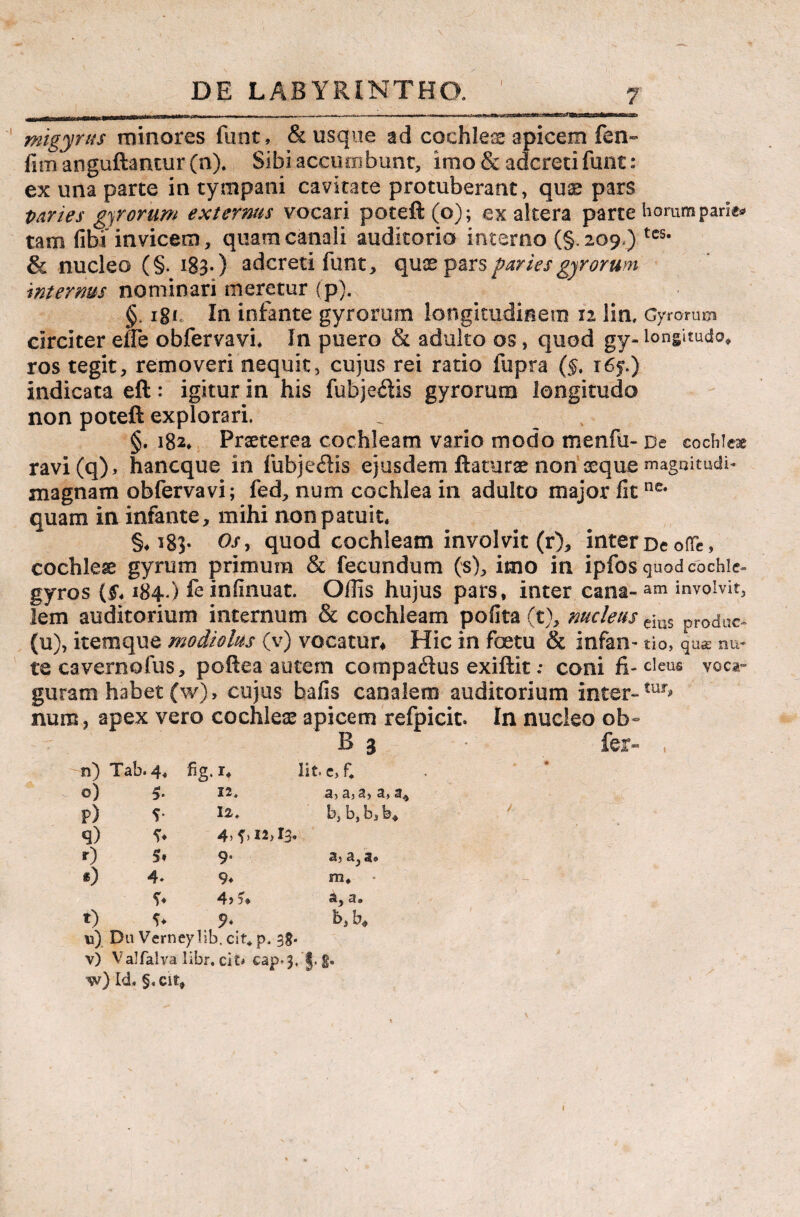 migyrus minores funt, & usque ad cochleae apicem fen~ fim anguftantur (n). Sibi accumbunt, imo & adcreti funt: ex una parte in tympani cavitate protuberant, quae pars paries gyrorum externus vocari poteft (o); ex altera parte hommparie* tam fibi' invicem, quam canali auditorio interno (§.209) tcs* & nucleo (§. 183*) adcreti funt, quos pars paries gyrorum internus nominari meretur (p). §. igr In infante gyrorum longitudinem 12 lin. Gyrorum circiter effe obfervavi. In puero & adulto os, quod gy- longitudo» ros tegit, removeri nequit, cujus rei ratio fupra ($, i6j.) indicata eft: igitur in his fubjedis gyrorum longitudo non poteft explorari. §. 182. Praeterea cochleam vario modo menfu- De cochleae ravi(q), hancque in fubjedis ejusdem flaturae non aeque magoitudi- magnam obfervavi; fed, num cochlea in adulto major fitne* quam in infante, mihi non patuit. §.183. Os, quod cochleam involvit (r), inter De offe, cochlea gyrum primum & fecundum (s), imo in ipfos quodcochie- gyros (£. 184.) fe infinuat. Ollis hujus pars, inter cana-am involvit, lem auditorium internum & cochleam pofita (t), nucleus ejus produc^ (u), itemque modiolus (v) vocatur. Hic in foetu & infan- tio, quae nu* tecavernofus, poftea autem compadus exiftit .* coni fi* ciens voca» guram habet (w), cujus bafis canalem auditorium inter-tur» num, apex vero cochleae apicem refpicit. In nucleo ob~ B 1 fer- , n) Tab. 4. fig.i. Iit c, f* 0) 5- 12. a, a^ a, a> 3, p) S- 12. b, b, b, b. q) ?♦ 4, f, 12,13. * r) S» 9. 3) a, 3<> *) 4* 9* m. S* 4> 3* a, a. *) 9* b, b. u) Du Verneylib, cit» p. $£• v) Valfalva libr. cit* cap.3, §. g. w) Id. §, cit»