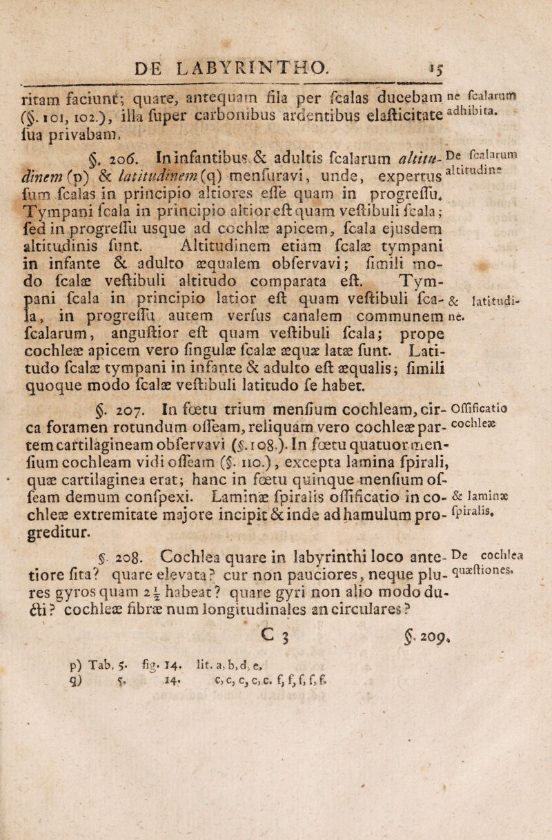 ritam faciunt; quare, antequam fila per fcalas ducebam ne (calaram (§. ioi, 102.), illa fuper carbonibus ardentibus elafticitateadhlblta* fua privabam §, 20(5. In infantibus & adultis fcalarum a It itu-De balaram dmem{p) & latitudinem (q) ■menfuravi, unde, expertusaltitudine fiitn fcalas in principio altiores eile quam in progreflu. Tympani fcaia in principio altior eft quam vefcibuli fcala; fed in progreffu usque ad cp c-hlae apicem, fcala ejusdem altitudinis firnt. Altitudinem etiam fcate tympani in infante & adulto aqualem obfervavi; ilmlli mo» do fcalae veftibuli altitudo comparata eft. Tym¬ pani fcala in principio latior eft quam veftibuli fca- & latitudi- la, in progreiTu autem verfus canalem communem ne. fcalarum, anguftior eft quam veftibuli fcala; prope cochleae apicem vero fingulae fcalse xqnx latae funt. Lati¬ tudo fcalae tympani in infante & adulto eft aequalis; fimili quoque modo fcals veftibuli latitudo fe habet. §. 207. In fcetu trium menfium cochleam, cir- offificatio ca foramen rotundum ofteam, reliquam vero cochleae par- cocbleas tem cartilagineam obfervavi ($. 108.). In foetuquatuor men¬ fium cochleam vidi ofteam ($'. 110.), excepta lamina fpirali, • quae cartilaginea erat; hanc io fcetu quinque menfium of- feam demum confpexi. Laminae fpiralis offificatio ineo- & laminae chleae extremitate majore incipit & inde ad hamulum pro- fPirahs* greditur. §. 208. Cochlea quare in labyrinthi loco ante- cochlea tiore fita? quare elevata? cur non pauciores, neque plu- <lu^IoneS’ res gyros quam i \ habeat? quare gyri non alio mododu- 6li?~ cochleae fibrae num longitudinales an circulares? \ # •} C 3 §. 209, p) Tab, 5* fig« 14. Iit. a, b, d, e» Si) S’ H* c, c, c. f, f, h f, f*