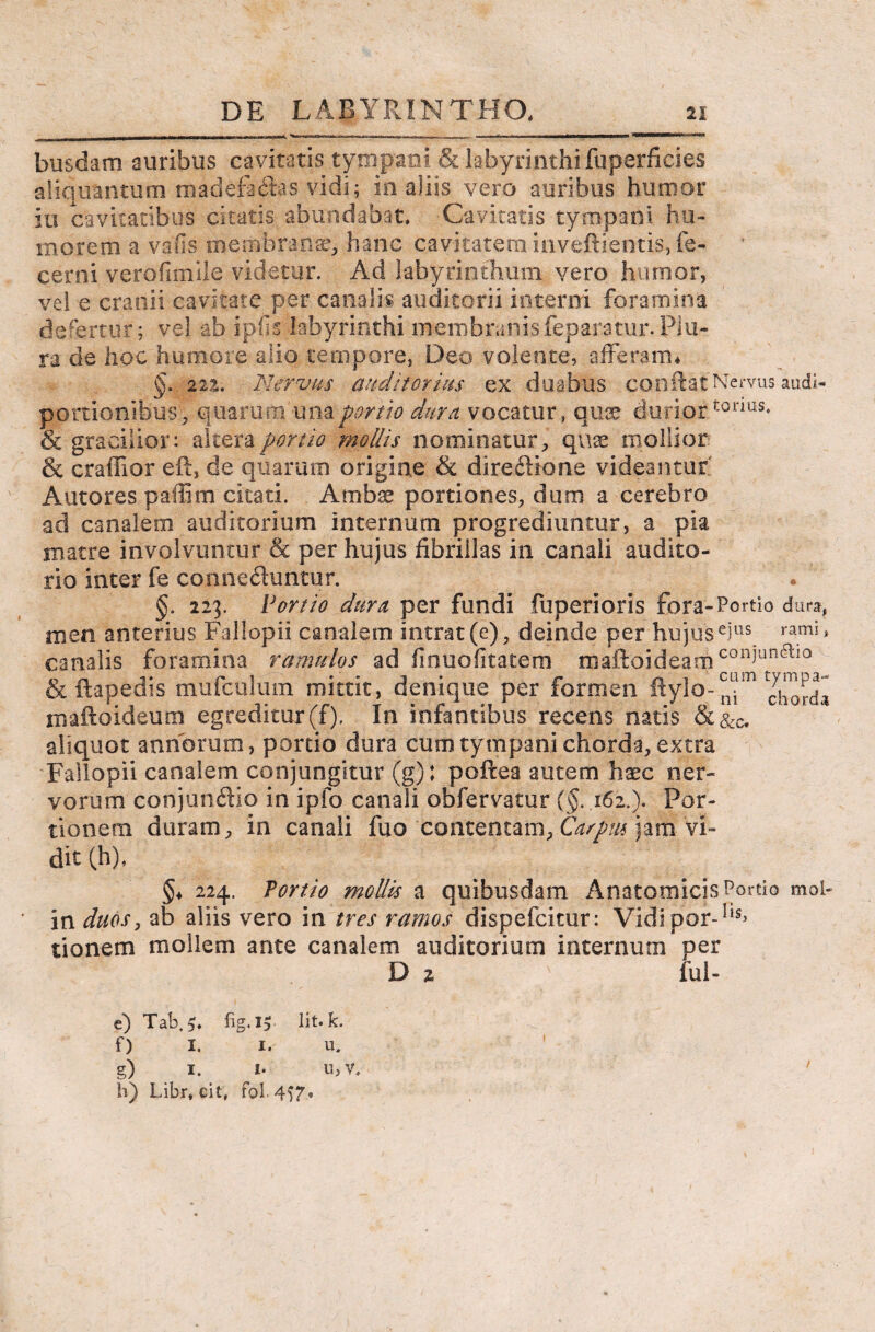 busdam auribus cavitatis tympani & labyrinthi fuperficies aliquantum madefactas vidi; in aliis vero auribus humor iti cavitatibus citatis abundabat. Cavitatis tympani hu¬ morem a vatis menibran.se., hanc cavitatem inveftientis,fe- cerni verofimile videtur. Ad labyrinthum vero humor, vel e cranii cavitate per canalis auditorii interni foramina defertur; vel ab ipfis labyrinthi membranisfeparatur.Plu¬ ra de hoc humore alio tempore, Deo volente, afferam* §. 221. Nervus auditorius ex duabus conftatNervus audi- portionlbus, quarum una portio dura vocatur, quae duriortonus* & gracilior: altera portio mollis nominatur, quae mollior & craffior eft, de quarum origine & dire&tone videantur' Antores patiim citati. Ambae portiones, dum a cerebro ad canalem auditorium internum progrediuntur, a pia matre involvuntur & per hujus fibrillas in canali audito¬ rio inter fe conneCluntur. §■ 223. Portio dura per fundi fuperioris fora-Portio dura, men anterius Fallopii canalem intrat (e), deinde per hujus e)us ram* > canalis foramina ramulos ad finuofitatem i$aftoideamconj*unai° & ftapedis mufculum mittit, denique per forraen ftylo-7h£rd* maftoideum egreditur(f). In infantibus recens natis & aliquot annorum, portio dura cum tympani chorda, extra Fallopii canalem conjungitur (g); poftea autem haec ner¬ vorum conjunftio in ipfo canali obfervatur (§.162.). Por¬ tionem duram, in canali fuo contentam, Carpus jam vi¬ dit (h), §♦ 224. Portio mollis a quibusdam Anatomicis Portio mol- in duos, ab aliis vero in tres ramos dispefcitur: Vidipor-hs> tionem mollem ante canalem auditorium internum per D 2 ful- e) Tab, 5, Iit. k. f) I. 1. u. g) 1. £• u,v, h) Libr, cit, fol.