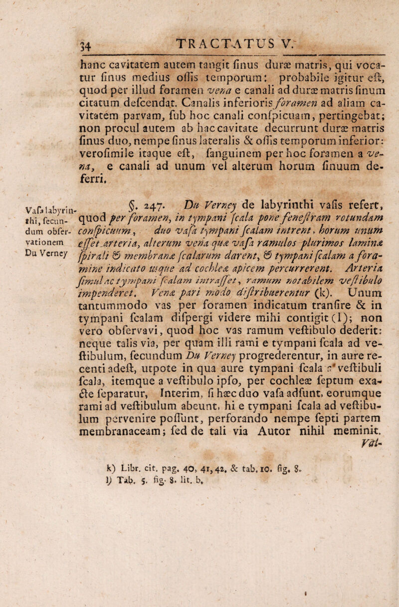 Vafa labyrln fhi, fecun¬ dum obfer- vationem Du Verney hanc cavitatem autem tangit finus durge matris, qui voca¬ tur finus medius offis temporum: probabile igitur eft, quod per illud foramen ver/a e canali ad durae matris finum citatum defcendat. Canalis inferioris foramen ad aliam ca¬ vitatem parvam, fub hoc canali confpicuam, pertingebat; non procul autem ab hac cavitate decurrunt durae matris finus duo, nempe finus lateralis & offis temporum inferior: verofimile itaque eft, fanguinetn per hoc foramen a ve¬ na, e canali ad unum vel alterum horum finuum de¬ ferri, §. 247. Du Verney de labyrinthi vafis refert, quod fer foramen, in tympani J'cala pone fenejlram rotundam confpicmiM , . duo vafa tympani fcaUm intrent, horum unum ejTetjtfteria, alterum vena qua vafa ramulos plurimos lamina fpirali & membrana falarum darent, & tympani falam a fora- mine indicato mqtte ad cochlea apicem percurrerent. Arteria fmulae tympani falam intrajfet, ramum notabilem ve fibulo impenderet♦ Vendi pari modo difcribmrentur (k). Unum tantummodo vas per foramen indicatum tranfire & in tympani fcalam difpergi videre mihi contigit (1); non vero obfervavi, quod hoc vas ramum veftibulo dederit: neque talis via, per quam illi rami e tympani fcala ad ve- ftibulum, fecundum Du Verney progrederentur, in aure re¬ centi adeft, utpote in qua aure tympani fcala ^veftibuli fcala, item que a veftibulo ipfo, per cochleae feptum exa* fle feparatur, Interim, fi hsecduo vafa adfunt, eorumque rami ad veftibulum abeunt, hi e tympani fcala ad veftibu- ium pervenire pofiimt, perforando nempe fepti partem membranaceam; fed de tali via Autor nihil meminit, VaV k) Libr. cit. pag, 40, 41,42, & tab, 10. %, 8* \) Tab, 5. fig- 8» iit. b. 1