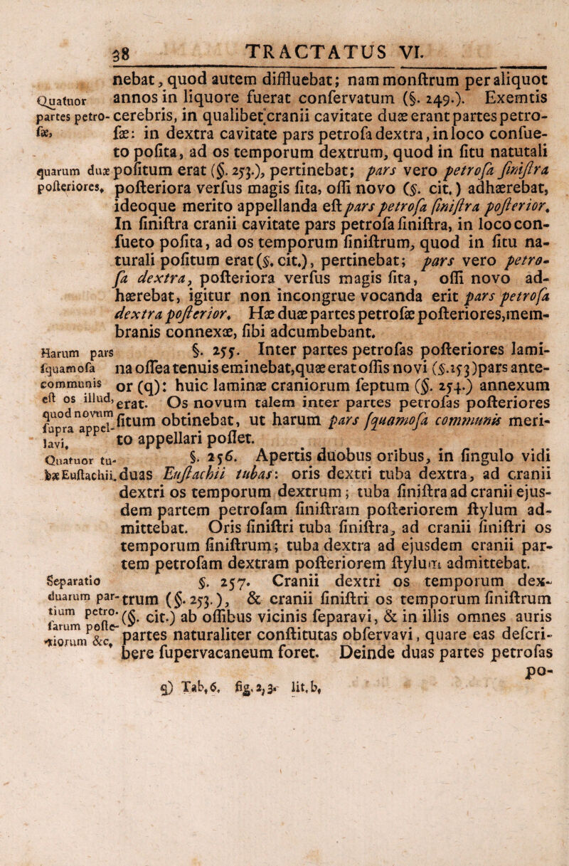 nebat, quod autem diffluebat; nammonftrum per aliquot Quatuor annos in liquore fuerat confervarum (§. 249.). Exemtis partes petro- cerebris, in qualibet cranii cavitate duse erant partes petro¬ te» fe: in dextra cavitate pars petrofa dextra, in loco confue- to polita, ad os temporum dextrum, quod in litu natutali quarum dux politum erat (§. 253.), pertinebat; pars vero petrofa finiftra pofteriores, pofteriora verfus magis fica, offi novo (§. cit,) adhaerebat, ideoque merito appellanda eftpars petrofa fimftra pojierior* In finiftra cranii cavitate pars petrofa finiftra, in lococon- fueto polita, ad os temporum finiftrum, quod in litu na- turali politum erat($, cit*), pertinebat; pars vero petro- fa dextra, pofteriora verfus magis fita, offi novo ad¬ haerebat, igitur non incongrue vocanda erit pars petrofa dextra pofierior♦ Hae duae partes petrofae pofteriores,mem- branis connexae, libi adcumbebant* Harum pars §. Inter partes petrofas pofteriores lami- fquamofa na ollea tenuis eminebat, quaeerat offis no vi (S-i^pars ante¬ eo m munis or (q); huic laminae craniorum feptum (§. 2J4.) annexum eft os iilud,erat qs novurn talem inter partes petrofas pofteriores fa fitum obtinebat, ut harum pars fquamofa communis meri- itll aPPe t0 appellari pollet. Quatuor tu- §• Apertis duobus oribus, in lingula vidi jb^Eujftachii,duas Eujlachii tubas: oris dextri tuba dextra, ad cranii dextri os temporum dextrum; tuba finiftra ad cranii ejus¬ dem partem petrofam finiftram pofteriorem ftylum ad¬ mittebat. Oris finiftri tuba finiftra, ad cranii finiftri os temporum finiftrum; tuba dextra ad ejusdem cranii par¬ tem petrofam dextram pofteriorem ftylum admittebat. Separatio §. 257. Cranii dextri os temporum dex- duarum par-trum (§.253.), & cranii finiftri os temporum finiftrum citO ab offibus vicinis feparavi, & in illis omnes auris iciorunP&c^ Partes naturaliter conftitutas obfervavi, quare eas defcri- bere fupervacaneum foret. Deinde duas partes petrofas po-