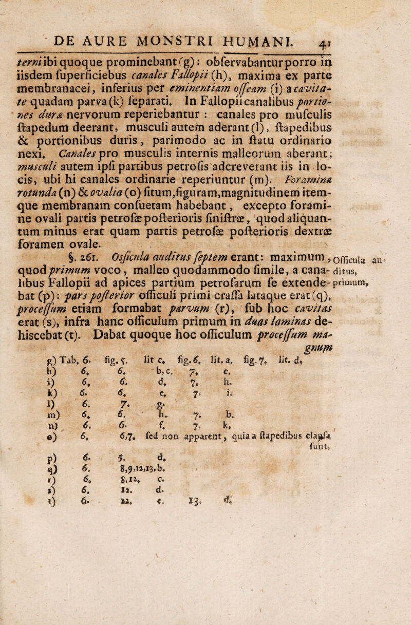 --7--^-—-—--j— terni ibi quoque prominebant fg): obfervabantur porro ia iisdem fuperficiebus candes Fdlopii (h), maxima ex parte membranacei, inferius per eminentiam ojfeam (i) a cavita¬ te quadam parva (k) leparatL In Fallopii canalibus portio¬ nes dura nervorum reperiebantur : canales pro mufculis ftapedum deerant, musculi autem aderant(I), ftapedibus & portionibus duris, parimodo ac in ftatu ordinario nexi* Canales pro musculis internis malleorum aberant; masculi autem ipfi partibus petrofis adcreverant iis in lo¬ cis, ubi hi canales ordinarie reperiuntur (m). Foramina rotunda (n) & ovalia (o) fitum^guram,magnitudinem item- que membranam confuetam habebant, excepto forami¬ ne ovali partis petrofepofterioris finiftrx, quod aliquan¬ tum minus erat quam partis petrofe pofterioris dextrae foramen ovale. §. 261. Osjknla auditus feptem erant: maximum,officuia au quod primum voco, malleo quodammodo fimile, a cana- ditus, hbus Fallopii ad apices partium petrofarum fe extende- primum» bat (p): parspojlerior ofliculi primi craila lataque erat(q), proceffim etiam formabat parvum (r), fub hoc cavitas erat (s), infra hanc ofliculum primum in duas laminas de¬ hiscebat (t). Dabat quoque hoc ofliculum proce(fum ma* gnupt g) Tab* 6. Iit Cf %•£ iit» a» 7* bt. d? b) 6. 6* b, c. 7* e. i) <>. 6. d* 7* h. k) 6> <*♦ e* 7* i. 1) 6, 7* g* \ m) 6. ' h*. 7- b. n) 6. 6. f. 7* k* ©) 6,7* fcd non apparent, quia a ftapedibus cla^fa fu iit? P) 6. 5. d* <0 6. 8,9,12,13*5. r) 6. c. s) 6. 12. d. «) 6• 12. c. 13* C