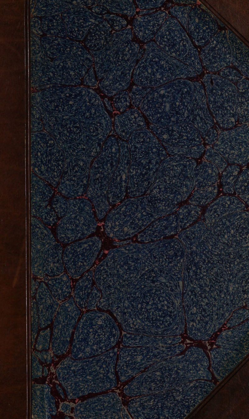 Fiebes apt on we ones s ‘ hy (3 ot tee es m ON ee Ld pa Mee ¥e6 CRP ee reine oe! A pes