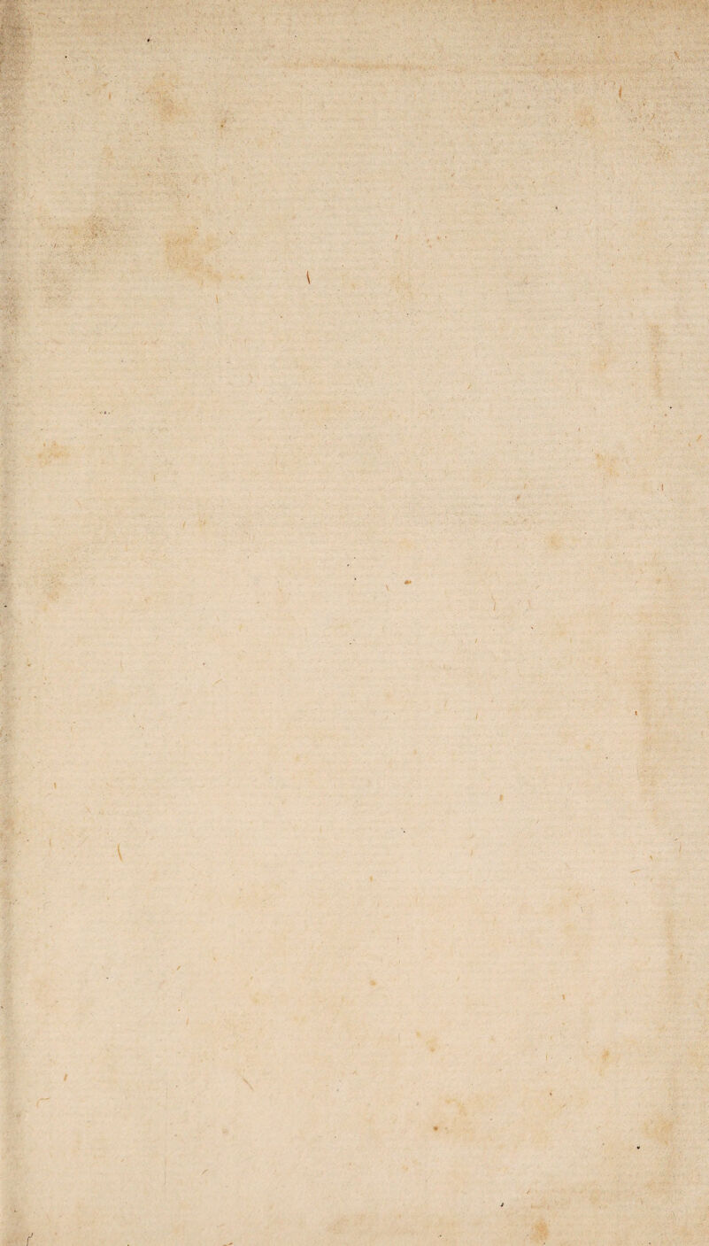 •».. ■ - * •'•••' • ' ■ . V .. ■ \ t \ I * I * t \