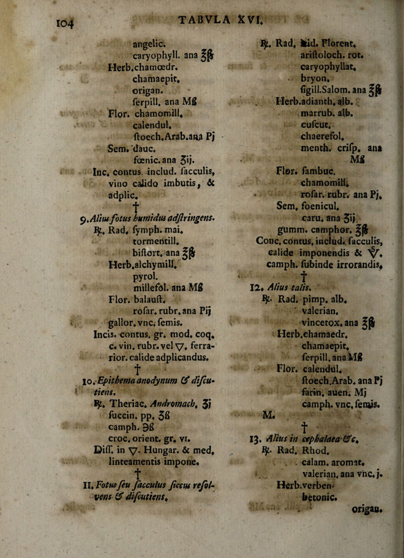angelic. caryophyll. ana Herb.chamcedr. chamaepic, origa n. ferpill. ana Mfl Flor, chamomill, calendul. ftoech.Arab.ana Pj * Sem. 'dauc. foenic.ana 3*j* lnc4 contus, includ. faeculis, vino calido imbutis, &amp; adplic, t . - 9. Alt tu fotus hutnidm adflrwgens. IJt. Rad, fymph. mai, tormentill, biftort. ana Herb.alchymill, pyrol. millefbl. ana MS Flor, balauft, rofar.rubr.ana Pij gallor. vnc4femis. Incis. contus* gr. mod. coq, c. vin.rubr.vel V* ferra- ^ rior. calide adplicandus. t 10. Epithema anodynum &amp; difeu• tiens. ty4 Theriac. Andromacha 3i fuccin. pp. 5fi camph. 915 croc. orient. gr, vi. DilT. in y. Hungar. &amp; med, linteamentis impone. t 11. Fotusfeu fac culus ficcw refol- veits &amp; difcutwis&lt; fy. Rad, kid. Florent, ariftoloch. rot. caryophyliat, . bryon, figill.Salom. ana ^ Herb.adianth. alb. marrub. alb. cufcuc, chaerefol, menth. crifp. ana Flor, fambuc. chamomill. - rofar. rubr* ana Pj, Sem, foenicul. caru, ana 5»j gumm. camphor. Cone, contus, includ* faeculis, calide imponendis &amp; camph. fubinde irrorandis# t 12« Altus talis. Rad. pimp. alb, valerian. vincetox. ana Herb.chamaedr. chamaepit, ferpill, ana Flor, calendul, ftoech.Arab* ana Pj * farin. auen, Mj camph. vnc4 lemis. M. . . t 13. Alius in ctphalaea&amp;Ct Rad. Rhod. s . . calam. aromat, valerian. ana vnc,j. Herb.verben- betonic» 1 origan«