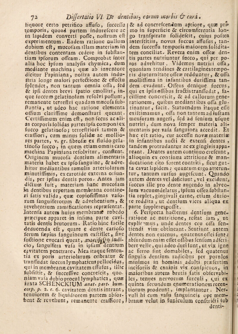liquore certo petrifico afFufo, fucceflu tpmporis, quoad partem indurefcere ac in lapidem converti pofle, noftrum eft experimentum. Eadem ratione nullum dubium eft, mucofam illam materiam in dentibus contentam cedere in fubftan- tiam ipforum ofFeam. Comprobat inter alia hoc ipfum analyfis chymica, dum mediante machina j quae ab inventore dicitur Papiniana, noftra autem indu- (tria longe maiori perfe&ione &: effedtu fplendet, non tantum omnia offa, fed & ipii dentes brevi fpatio emolliri, in- que fuccum gelatinolum refolvi poflunt, remanente terreftri quadammucofafub- ftantia, ut adeo hac ratione elementa olfium clariftitne demonftrari queant. Certiflimum enim eft, non fecus ac ali¬ as corporis (olidas partes ip(a componi ex iucco gelatinofoj terreftriori tamen & craffiori, cum minus folidae ac mollio¬ res partes, v. gr. fibrofae ex fluido gela* tinofo fucco , in quem etiam omnis caro machina Papiniana refolvitur, conflent. Originem muco ia dentium alimentaris materia habet ex ipfofanguine, & adve¬ hitur mediantibus ramulis arteriolarum ininutiffimis, ex carotide externa oriun¬ dis, per ipfius dentis poros^ Antea jam dictum fuit, materiam hanc mucofam in dentibus repertam membrana contine¬ ri fatis valida, quae copioftflimas vafo- rum ('anguiferorum & advehentium, & revehentium ramificationes reprsefentat. Intenfa autem huius membrana^ rubedo praecipue apparet in infima^ parte cavi* tatis dentis brutorum. Ratio hinc facile deducenda eft , quare e dente cariofo ierum faepius (anguineum exftrllet*fiye fusione evocari queat, indi¬ cio, fanguifera vafa in ipfam aentrum cavitatem penetrare* Mea itaque lenten¬ tia ex poris arteriolarum cribratur 3e tranffudat fuccus lymphaticuspellucidus, qui in membranae.cavitatem efFufus, illic iubfiftit, &r fticcefFIve concrefcit, quo, niam vafa dubio procu 1 lymphatica, quae Juxta SCHENCKIUM anat» part* hum. ccrp, p. 2. r, 6- cavitatem dentis intrant, tenuiorem & liquidiorem partem abfor- hent & revehunt, remanente craffiore. & ad concrefcendam aptiore, quas prtv mo in (uperficie & circumferentia lon¬ go tranfpiratu folidefcit, cuius poftea interftitiis, novus fuccus afFufus, tan¬ dem Fucceftu temporis maiorem folidita- tem conciliat. Revera enim offeae den¬ tis partes nutriuntur (occo, qui per po- ros advehitur. Videmus nutriri offa9 quoniam tendines & cartilagincstempo- ris diuturnitate ofFeae redduntur, &offo moli i limi a in infantibus duriflima tan¬ dem evadunt. Offeus denique Fuccus, qui ex ipfisdftibus fradistranfludat, fa¬ cillime concrefcit, 8c ad callorum gene¬ rationem, quibus mediantibus offa glu¬ tinantur, facit. Statuendum itaque e(Te exiftimamus , offa non tantum ad iuftam menfuram augeri, fed ad lenium ufque nutriri, dum nova femper materia ali- mentaris per vafa fanguinea accedit. Et hac eft ratio, cur accedit novsemateriae in infantibus audi 3c extenfi dentes , tandem protrudantur ac ex gingivis appa¬ reant. Demes autem continuo crefcunt 9 aiioquin ex continua attritione & man¬ ducatione cito forent contriti, ficut gut¬ ta cavat lapidem: quantum ergo atterun¬ tur, tantum rurfus augefeunt. Quando autem dentes vel deficiunt, vel excidunt» fuccus ille pro dente augendo in alveo¬ lum vacuumdelatus, ipium offea fubftan- tia replet,gingivali carne, etiam dfario- re reddita , ut dentium vices aliqua ex parte fupplere^poflit. 6. Perfpecta hactenus cientium gene¬ ratione ac nutritione, reftat iam , ut explir*mus» unde dentes ceu offa den¬ tiendi vini obtineant. Sentiunt autem dentes non eatenus, quatenus odei funt; abfurdum enim efFet o Ilibus fenfum adferi* bere velle, qui adeo duri funt, ut vix igne ac ferro fuit domabiles, fed quatenus (ingulis dentium radicibus per poieilqs minimos in hominis adulti prsefertim inciforiis & caninis vix confpicuos, in maioribus autem brutis fatis obfervabi- les, tenues nervorum furculi , qui ex quinta fecundum enumerationemrecen- tiorum prodeunt, implantantur . Ner¬ vuli hi cum vafis (anguineis ope mem¬ brana vdut in funiculum conftri&i fub denti-