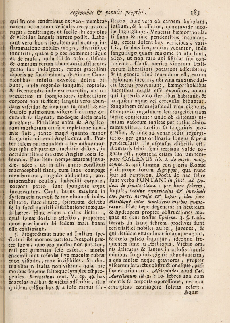 regtonilus & | fi qui ia ore tenerrimas nerveo-membra- i naceas pulmonum veficulas receptus cor¬ ii rugat, conffringit, ut facile ibi copiofus - i & vifeidus (anguis haerere po(Iit. Labo¬ ri rant vero hoc vitio, item pulmonum in- [il fkmmatione nobiles magis, divitiifque i innutriti, quam e plebe homines;idque i ea de caufa , quia illi in otio altiifsmo ! i & omnium rerum abundantia affluentes | genio fuo indulgent, carnes grati (II mi ii iaporis ac fucci edunt, Se vina e Cana ni rienfibus infulis adve&a ^ dulcia bi- bunt, unde regendo fanguini copiofo, >!i Sc fecernendis inde excrementis, natura icj praefertim in fpongiohore, imbecilliore i ; corpore non fufficitj (anguis vero abun- dans vifeidus & impurus in molli deva* >1 Iculofo pulmonum vifcere facillime de- i; cumbit Se ftagnat, modoque dida mala Ii progignit. Phthifeos enim & Anglico ji rum morborum caufa a repletione inpri- :rj mis fluit , tanto magis quanto minor ii ianguinis mittendi Anglis cura eft. Prae- ter talem pulmonalem alius adhuc mor¬ se} bus ipfis eft patrius, rachitis di dius , in i',; occidentalibus maxime Angliae locis fo fi lemnis. Puerilem nempe aetatem 1 inva- ilj dit, adeo , ut in illis annis conftituti r macrocephali fiant, cum laxa^ compage n: membrorum , turgido abdomine , pro¬ ri minentibus oculis , imbecillii corpore; 0 corpora porro fiunt fpongiofa atque ii incurvantur. Caufa hujus maxime in fi fyfiematis nervofi Se membranofi imbe- |j cilitate, flacci ditate, (pirituum defe&u jl 8e in fucci nutritii difiributione inaequa* ii li haeret. Hinc etiam rachitis dicitur , i quafi fpinae dorfalis a (Pedio , propterea i : quod praecipuam ibi fiedem mali fixam i cflfe exiftimant. <>. Progredimur nunc ad Italiam (pe- ii flaturi ibi morbos patrios, Neapoli prae- r; ter luem, quae pro morbo non putatur, : nifi per gummata fefe exferat , morbi r endemii funt rofeolae five maculae rubrae ji mox vifibiies, mox invifibiles. Scorbu- ji tus alias in Italia non vi fit ur, quia hic it morbus impurae falfaeque lymphae eft pro¬ li genies. Bartholinus cent, V. ep. 49. has |l maculas aedibus Se vidui adferibit, illis ij quidem cdfioribus & a folc minus illu- pulis proprii*. 1S5 (Iratis, huic vero ob carnem bubulam, (uilJam,& brafficam, quam avide ineo* \x ingurgitant. Venetiis haemorrhoida- li fluxu Se hinc pendentibus incommo¬ dis, ccecis dolentibqs varicibus , vari- ficis, ficubus frequentius vexantur, inde fanguifugas quam maxime in ufu funt, adeo, ut non raro ani fiffulas fibi con¬ trahant . Caufa merito vinorum Itali¬ corum liberaliori potationi adferibituri Se in genere illud tenendum eft, earum regionum incolas , ubi vina maxime dul¬ cia laetius proveniunt, haemorrhoidibus fluentibus magis e(Te expolitos, quam qui in terris vino fterilsbus habitant,Sc in quibus aquae vel cefievifiae bibuntur« Sanguinem enim ejufmodi vina gignunt* eumque in orgafmum (eu turgefeentiam facile conjiciunt: unde ob difientas ni¬ mium vaforum tunicas per totius abdo¬ minis vifcera tardior fit (anguinis pro- greilio, Se hinc ad venas fedis regurgi¬ tatio, per quas ordinario longus &per«i pendicularis ille afcenfus difficilis e(f . Romanis febris femi tertiana valde co¬ gnata eft, notate id etiam fuo jam tem¬ pore GALENUS lib. 1. de morb. 'vulg, comm^ 2, qui fiumma con gloria Romss vixit prope forum Agrippse, qua nunc itur ad Pantheon. Doda de hac febre funt verba FONTANI in fchoL ad Do- don. de femltertiana ; per hanc febrem, inquit, Uditur 'ventriculus CT jmprimis ejus partes nervofd & hepar , ideo fure meritoque inter mortiferos morbos nume¬ ratur . Haec faepe degenerat in hedicam & hydropem propter obflrudiones ma¬ gnas ut Cous nofter Epidem. 3. §. i.ob- lervat. In hanc febrem proclives funt ecclefiaftici nobiles aulici, juvenes, & qui defidem vitam luxuriofamque agunt. Se coelo calido fruuntur, ideoque fre¬ quentes funt in ^Ethiopia. Vidus om. nis delicatus Se lautus in otiofis horni- minibus fanguinis gignit abundantiam, a qua multae eaeque graviores , propter vifcerum infarsus obftrudionefque, paf- fiones oriuntur . jtfdepiades apud CaL ^Aurelianum libc 10. febres una cum mentis Se corporis oppredione, nec non ethargicas contingere folitas refert ,