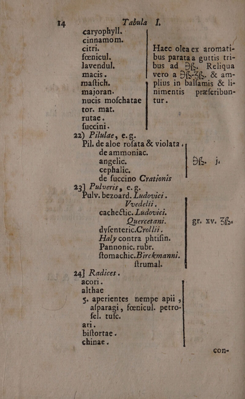 Tabula l j caryophyll. cinnamom. d^ / citri. Haec oleaex aromati- fcenicul. bus parataa guttis tri- lavendul. bus ad 9(&amp; Reliqua macis. . | veto a 9(S-Z(&amp;. &amp; am- maftich. plius in balfamis &amp; li- majoran. nimentis przícribun- nucis mofchatae | tur. tor. mat. rutae. fuccint. 22) Pilulae, e.g. Pil. dealoe rofata &amp; violata ; de ammoniac. | angelic. JO. f cephalic. de fuccino Crat/onis 23] Pulveris, e.g. Pulv. bezoard. Ludovic: . Vvedelii. cache&amp;uc. Lzdovic:. Quercetant. gr. Xv. Z(S. dyfenteric.Cro/Iz. Haly contra phtifin. Pannonic. rubr. ftomachic.B;rc&amp;manni. ftrumal. 24] Radices. acori. althae $. aperientes nempe apii , aíparagi, foenicul. petro-| fel. tufc. au. biftortae. chinae. cons