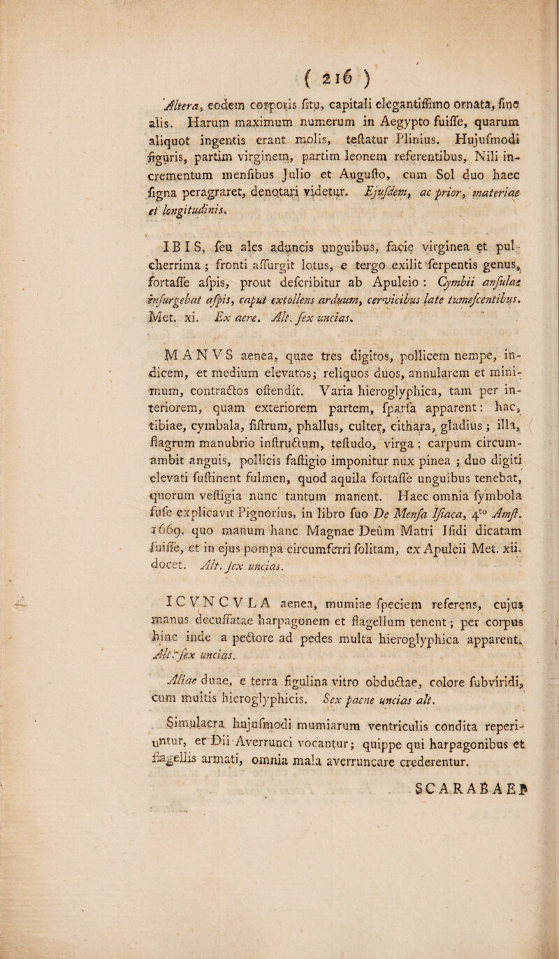 Altera, eodem corporis frty, capitali elegantiflimo ornata, fin® alis. Harum maximum numerum in Aegypto fuifle, quarum aliquot ingentis erant molis, teftatur Plinius. Hujufrnodi figuris, partim virginem, partim leonem referentibus, Nili in¬ crementum menfibus Julio et Augufto, cum Sol duo haec figna peragraret, denotari videtur. Ejufdemf ac prior, materiae et longitudinis. IBIS, feu ales aduncis unguibus, facie virginea et pul¬ cherrima ; fronti affurgit lo.tus, e tergo exilit ferpentis genus* fortaffe afpis, prout deferibitur ab Apuleio : Cymbii cmfulat bifurgehat afpis, caput extollens arduum, cervicibus late tumefcentibiis. Met. xi. Ex aere. Alt. fex uncias. MANVS aenea, quae tres digitos, pollicem nempe, in¬ dicem, et medium elevatos; reliquos duos, annularem et mini¬ mum, contrarios oftendit. Varia hieroglyphica, tam per in¬ teriorem, quam exteriorem partem, fparfa apparent: hac, tibiae, cymbala, flftrum, phallus, culter, cithara, gladius; illa, flagrum manubrio inftru&um, teftudo, virga; carpum circum¬ arabit anguis, pollicis fafligio imponitur nux pinea ; duo digiti elevati fufeinent fulmen, quod aquila fortaffe unguibus tenebat, quorum vefligia nunc tantum manent. Haec omnia fymbola fufe explicavit Pignorius, in libro fuo De Menfa Ifiaca, 4to Amf. 1669. (luo manum hanc Magnae Deum Matri Ifidi dicatam fuifle, et in ejus pompa circumferri folitam, ex Apuleii Met. xii. docet. Alt. Jex uncias. ICVNCVLA aenea, mumiae fpeciem referens, cujus manus dccuifatae harpagonem et flagellum tenent; per corpus hinc inde a pedore ad pedes multa hieroglyphica apparent» Alt dfex uncias. Aliae duae, e terra flgulina vitro obdu&ae, colore fubviridi. Cum muttis hieroglyphicis. Sex paene uncias ait. Simulacra hujufrnodi mumiarum ventriculis condita reped¬ antur, et Dii Averrunci vocantur; quippe qui harpagonibus et flagellis armati, omnia mala averruncare crederentur. SCARABAEE