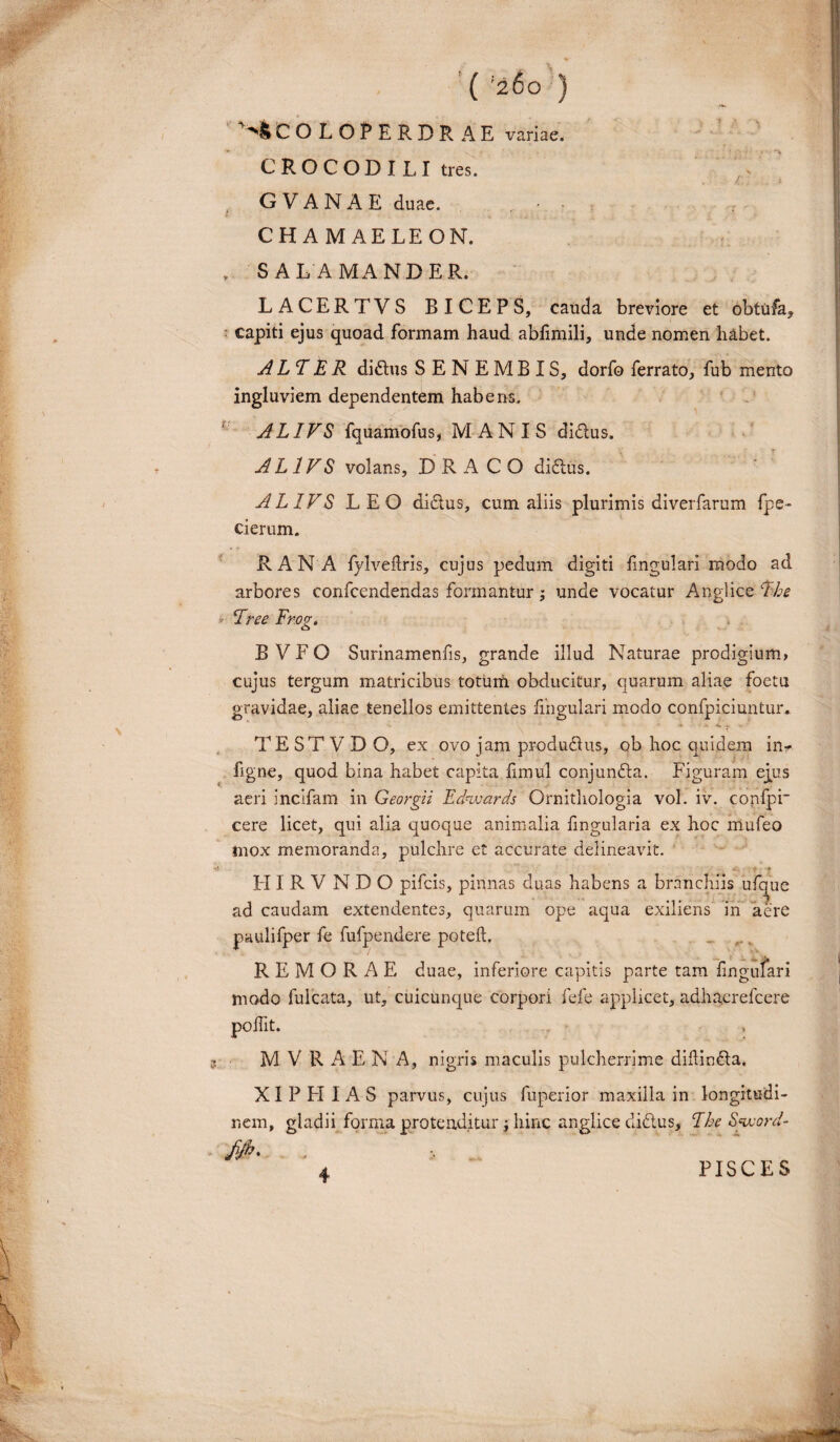 V I' C O L O P E E. D R A E variae. CROCODILI tres. GVANAE duae. . • • CHAMAELEON. , SALAMANDER. LACERTVS BICEPS, cauda breviore et obtufa? ■ capiti ejus quoad formam haud abfimili, unde nomen habet. ALT ER diftus SENEMBIS, dorfo ferrato, fub mento ingluviem dependentem habens. ALIVS fquamofus, MANIS didlus. A L 1VS volans, DRACO didlus. ALIVS LEO didtus, cum aliis plurimis diverfarum fpe- cierum. RANA fylveilris, cujus pedum digiti lingulari modo ad arbores confcendendas formantur; unde vocatur Anglice The y Tree Fnog. B V F O Surinamenfis, grande illud Naturae prodigium, cujus tergum matricibus totum obducitur, quarum aliae foetu gravidae, aliae tenellos emittentes lingulari modo confpiciuntur. TE ST V D O, ex ovo jam produdhis, ob hoc quidem in- figne, quod bina habet capita fimul conjundla. Figuram ejus aeri incifam in Georgii Ednvards Ornithologia vol. iv. corripi cere licet, qui alia quoque animalia fmgularia ex hoc mufeo tnox memoranda, pulchre et accurate delineavit. * .. f ♦ FI 1 R V N D O pifcis, pinnas duas habens a branchiis ufqiic ad caudam extendentes, quarum ope aqua exiliens in aere paulifper fe fufpendere potell. REMORAE duae, inferiore capitis parte tam fingufari modo fulcata, ut, cuicunque corpori fele applicet, adhaerefcere polht. M V R A E N A, nigris maculis pulcherrime didindla. XI P FI I AS parvus, cujus fuperior maxilla in longitudi¬ nem, gladii forma protenditur} hinc anglice cli&us, The Sword- M* PISCES