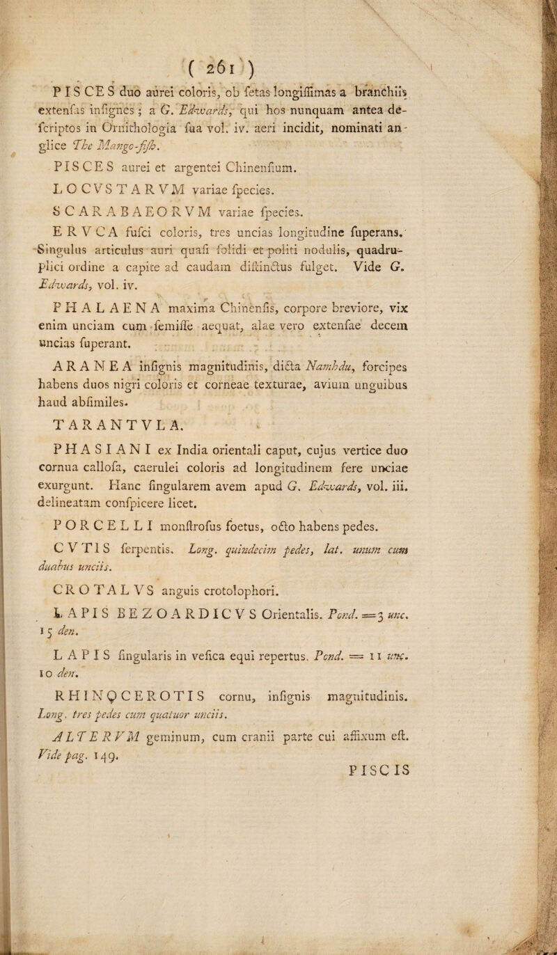 PISCES duo aurei coloris, ob fetas longiffimas a branchiis extenfas infignes; a G. Edavards, qui hos nunquam antea de- fcriptos in Ornithologia fua voh iv. aeri incidit, nominati arx- glice The Memgo-fijb. PISCES aurei et argentei Chinenhum. LOCVSTARVM variae fpecies. SCARABAEORVM variae fpecies. E R VCA fufei coloris, tres uncias longitudine fuperans. Singulus articulus auri quafi folidi et politi nodulis, quadru¬ plici ordine a capite ad caudam diftindus fulget. Vide G. Edvjards, vol. iv. PPIALAENA maxima Chineniis, corpore breviore, vix enim unciam cum femiiTe aequat, alae vero extenfae decem uncias fuperant. ARANEA infignis magnitudinis, di£ta Namhdu, forcipes habens duos nigri coloris et corneae texturae, avium unguibus haud abfimiles. TARANTVLA. PHASIANI ex India orientali caput, cujus vertice duo cornua callofa, caerulei coloris ad longitudinem, fere unciae exurgunt. Plane fingularem avem apud G. Edzvards, vol. iii. delineatam confpicere licet. PORCELLI monftrofus foetus, o£to habens pedes. C V riS ferpentis. Long. qumdecisn pedes, lat. unum cum duabus unciis. CROTALVS anguis crotolophori. LAPIS BEZOARDICVS Orientalis. Pond. =3 une. 13 den. LAPIS lingularis in velica equi repertus. Pcnd. = 11 unc. 1 o den. RHINOCEROTIS cornu, infignis magnitudinis. Long, tres pedes cum quaiuor unciis. ALEERVM geminum, cum cranii parte cui affixum eft. Vide pag. 149. PISC IS