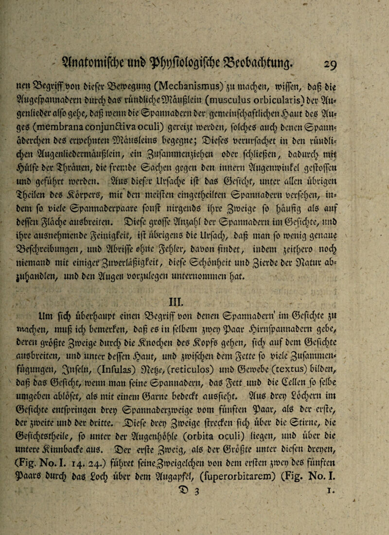 nett begriff Pon biefer 23eweguttg (Mechanismus)'ju machen, mifjen, baf$ bie Sfugefpannabern bttec^baö rünblikeSIaupleitt (musculus orbicularis)ber 2fu* genlieberalfogel)e,ba£mennbieSpamtabernber gemeinfkaft(id)cn^aut bc$ 2lu- geg (membrana conjun&iva oculi) gereift werben, fofd^es auc^ betten Spann* obereren be$ ertpelmtett 5D?au$(ein$ begegne; Siefeö Perurfad^et in ben rüwbli* d)zn 2fugenliebermaujtlein, ein gufamwenjiefKn ober fd)lie|ten, baburd^ mH ^ulfe ber Tratten, bie frembe Sadjen gegen ben ittnern 2lügenwittfel gesoffen unb geführt werben* Sfus biefer Utfac^c ijl baö ©eftd^t, unter allen übrigen feilen be$ .Körpers, mit ben meinen eingekeilten Spannabern oerfe^en, in* bem fo Piele Spannaberpaare fon|i nirgenbs ijjre 3weige f° jwußg a(ö auf befiett glücke auöbreifen* SDiefe grojfe SSttjafjl ber Spannabern im ©eftd^te, unb ifcre austtefimtenbe Seittigfeif, ifi übrigens bie Utfad^, .baß man fo wenig genaue 25efd)reibuttgen, unb 2ibrijfe ofytie §ef)ler, baoott ftnbef, inbem ^eit^ero nok ntemanb mit einiger 3uoerlnßigfeie, biefe Sd^onfteit unb 3terbe ber Sftatur ab* $uf;anblen, unb ben 2fugett oot^ulegen unternommen §at, , >; in. Um ftk überhaupt einen begriff non betten Spamtabern’ im ©eftd^te $u machen, muß xd) bemerken, baß es in felbern jroep $)aar bpirnfpattnabertt gebe, bereu größte 3meige burc£ bie Knod^en bes Kopfs gefeit, ftdv auf bem ®efid)te auobretot, unb unter beflen ijaut, unb ^wifd^ett bem Sette fo Piele 3ufammen* fügungert, Unfein, (Infulas) 9\zfy, (reticulos) unb ©ewebe (textus) hüben, baß bas ©eftd)f, wenn man feine Spannabertt, bas Jett uttb bie Sellen fo felbe umgeben ablöfet, als mit einem ©arne bebeeft ausftelü. 2iüs brep Eodtertt im ©eftd^te entfpringen brep Spannaberjweige Pom fünften ?)aar, als ber erjle, ber zweite uttb ber britte* JDiefe brep 3^e^Bc firetfen ftk über bie Stirne, bie ©efiktörtjeile, fo unter ber 2lügenl)bf)le (orbita oculi) liegen, unb über bie untere Kinnbacfe aus* Ser erjle 3weig, ber ©reffte unter biefen brepen, (Fig. No. L 14* 24*) führet feine_3weigeld)en Pott bem erflen jwep beS fünften 9)aar$ burk bas. £od) über bem Augapfel, (fuperorbitarem) (Fig. No. I. © 3 \ 1*