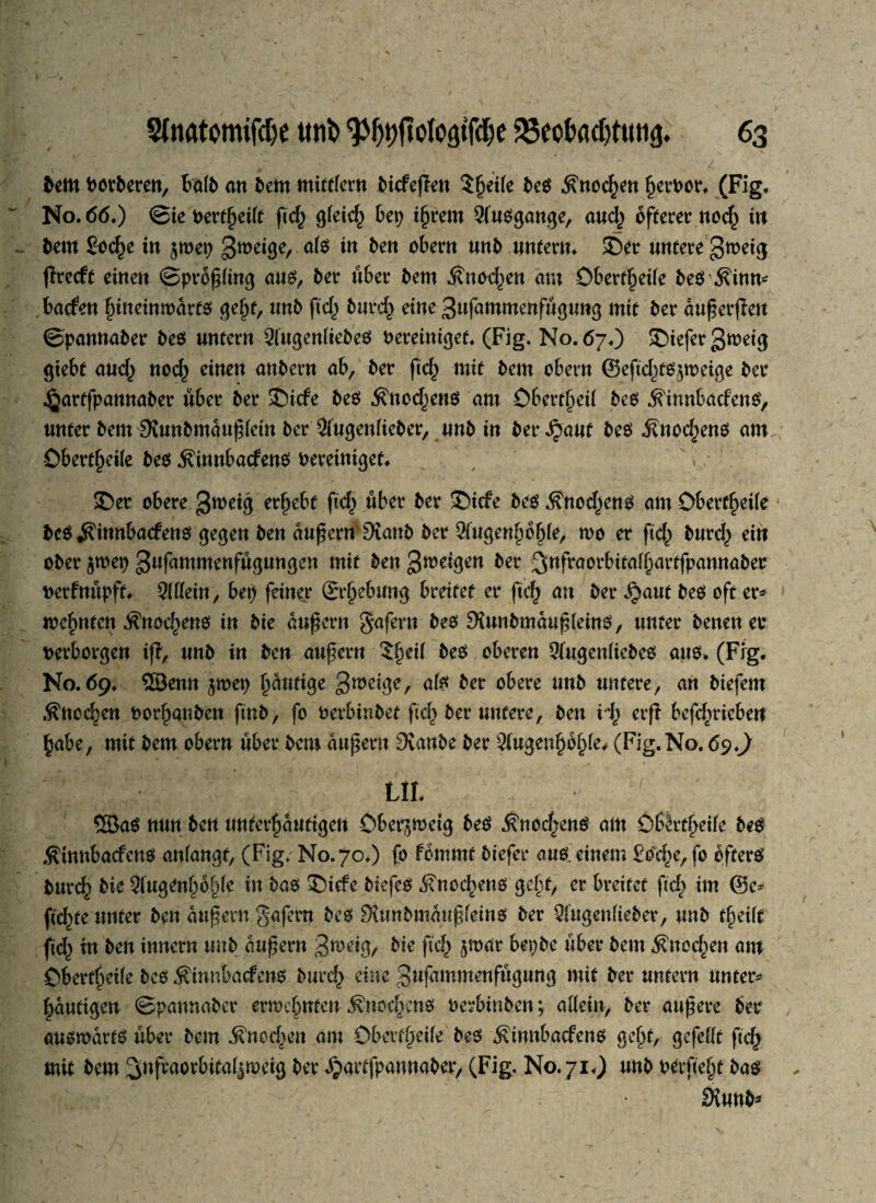 bettt böseren, Bote an bem mittlern Jbtcfeflen Steile be$ .^noc^en fjerbor. (Fig. No. 66♦) ©ie t>ert^ei(e ftd) gleich bep iljrent Qfuogange, aud) öfterer norf^ in bem £oc£e in jmep gmeige, al$ in ben obern unb unterm 3Der untere gtoeig jtrecft einen ©prbfling aue> ber über bem Änod^en am Öbert^eife be$ $inn* bacfen f)ineimodrt$ ge§t, unb ftd) burc£ eine gufammenfugung mit ber auferflett ©pannaber be$ untern 9(ugen(kbeö bereiniget. (Fig. No. 67.) tiefer gtoeig giebt and) nocf) einen anbern ab, ber fu$ mit bem obern ©eftdjt^tbeige ber .^arffpannaber über ber £>itfe be$ $nod)en$ am Oberteil beo ^innbacfens, unter bem üXunbmduf (ein ber 2iugen(kber, unb in ber Spaut be$ Änoc^eno am -Oberteile beo .Sinnbacfenö bereiniget, £)er obere gweig ergebt ftd) über ber SDicfe be$ Änod^en^ am Oberseite be$ ^innbacfens gegen ben auf ern 9vanb ber 9fugenl)ol)le, roo er fid) burd) ein ober $wet) gufammenfugungen mit ben gmeigen ber 3«feaorbitaf§artfpannaber berfnupft, Qillein, bet) feiner ©rftebung breitet er ftd) an ber ijaut beö oft er* meinten ^noc^eno in bie dufern gafern beo SXunbmaufleinS, unter betten er berborgen iff, unb in ben aufern ?^ei( beo oberen ^ugenlkbee: aus. (Fig. No. 69. ©enn $met) £dntige gmeige, ate ber obere unb untere, an biefem .S'noc^en borfmttben ftnb, fo berbinbet fid) ber untere, ben H) erfi bcfc(>riebeit £abe, mit bem obern über bem auf ent 3vanbe ber 2iugenf)bl)(e, (Fig. No. 69J UL mm 6ett tmft'rfjätt titelt Ö&erjrcetg 6eö .ftnocfjenö am ö(>ktf>dfe bte ^innbacfcng attfangt, (Fig. No. 70.) fo fcmmt btefer aus. einem £bd)e, fo öftere burc^ bie 2iugen§d^(e in baö £)icfe biefeo dfnod^etto gel)f, er breitet fid) im @c* ftdbte unter ben dufern §afern bee> 9?unbmduffeino ber Qfugettlieber, unb t^eift ftd) in ben innern unb dufern gmeig, bie ftd) ^mar bepbc über bem $ncd)en am Oberteile bco Äinnbacfeno burd) eine gufammenfugung mit ber untern unter* |dutigen ©pannaber ernennten Änoc(>enö berbinben; allein, ber auf ere ber , au^mdrtö über bem Änoc^en am Oberteile be$ Äimtbacfettö geljt, gefeilt ftd) mit bem ^nfraorbitaljnoeig Jjartfpattnaber, (Fig. No. 71.) unb berfte§t ba$ Bb&'r 11 P Siunb*