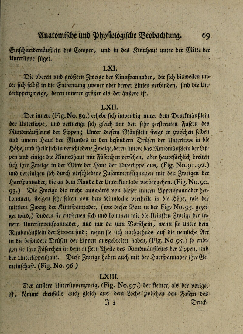 4 Stoatomifdje uni) ^hpftofogifcße Beobachtung. 69 ©nfcfcneibemaußlem beS Eon>per, unb in beS Äinnf^aut unter ber Stttte ber Unterlippe füget* LXI. ©ie oberen unb großem 3weige &er ^innfpannaber, bie ftcl^ bismeilen um fer fiel) felbß in bie Entfernung jroeper ober breper Sinien Petbinben, ftnb bie Um terlippenjmeige, bereu innerer großer als ber äußere iß. Lxir. ©er innere (Fig. No. 89O ergebt inroenbtg unter bem ©rucfmdußlein ber Unterlippe, unb permengf ßd> gleich mit ben fe§r jerßreuten gafern beS Svunbmdußleins ber Sippen; Unter bicfem Siaußlein (leigt er jmifcljen felben unb innern ijaut bes Stunbes in ben befonbern prüfen ber Unterlippe in bie $61)0, unb t§eiltftd^inberfc^iebene3n>eige,beren innere bas StunbmdußleinberSiP5 pen unb einige bie $innesl)aut mit Jäfercf^en Perfcfjen, aber f)auptfdc£(tcfy breiten ßc£ ü)re groeige in ber Stifte ber ^aut ber Unterlippe aus, (Fig. No. 91 *92*) unb bereinigen fiel) burc|j perfc^iebene 3ufdmmenfüg!mgen mit ben feigen ber ^artfpannaber, bie an bem Sianbe ber Unterfinnlabe Porbcpge^en. (Fig. No. 90. 93O ©iegweige bie mef>e auswärts Pott biefer innern Sippenfpannaber f)er- fomrnen, (leigen fef)r feiten bon bem .Sinnlose Pertljetlf in bte Jjbl>e, wie ber mittlere gwetg ber ^innfpannaber, (wie biefer Sau in ber Fig; N0.95, gejei* get wirb,) fonbern ße entfernen ftef^ unb fomrnen wie bie ffeinßen 3weige ber im nern Unterlippenfpannaber, unb nur ba ^um 33orfd)etn, wenn fte unter bem Siunbmäußlein ber Sippen ftnb; wennße ftcl^ nacfige§nbO auf bie nemlicf^e 9lrf in bie befonbere ©rufen ber Sippen ausgebreitet Ijaben, (Fig. No 9^.) fo enbi- gen ße t£re gaferefjen tu bem äußern Steile bes SXunbmäußleins ber Sippen, unb ber Unferltppenljauf. ©iefe gweige §aben auef^ mit ber jjartfpannaber tl)re@e= meinfc^aft. (Fig. No. 96.) :. LXIIL ©er äußere Unferltppenjwetg, (Fig. No. 97.) ber fletner, als ber porige, iß, fommt ebenfalls audj gleich aus bem Soc^e jmifc^en ben gafepn bes 3 3 ©ruef-