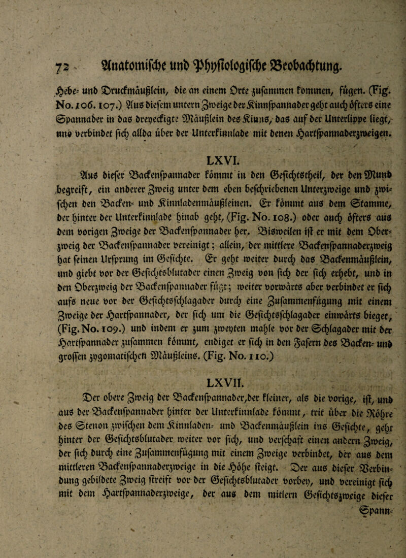 / 72^ 2faatomifd)e uni» ^fji)fIofögifd)e 23eobatf>tung. fyibt* unb £)rucfmau£lein, bie an einem Orte jufammen fommen, fügen* (Fig. No. i 06. 107.) 5(us btefetn untern gweige ber .Kinnfpannaber ge£t aucl) öfecvß eine ©pattnaber in bas brepecfigte 9ftdu£lein besÄinnS, bas auf bei* Unterlippe liegt, two Perbinbef jtd) allba über ber Unterfiunlabe mit benen ^artfpannaberjmeigen. LXVI. 9(u$ biefer 33acfenfp«nnaber fornrnt in ben ©efic£tst(jeif, ber ben SRunb begreift, ein anbererS^eig unter bem eben befc^rkbencn Untet^weige unb $wi* fetten ben Ladern unb Äinnlabenmaußleineu* Sr fbmrnt aus bem ©famme, ber hinter ber Unterfinnlabe f^inab geljf, (Fig. No. 108.) ober aucf> bfters aus bem Porigen 3weige ber Sacfenfpannaber f)er. 23isweilen i(f er mit bem Ober* jweig ber SSacfenfpatmaber bereinigt; allein, ber mittlere 33a<fenfpannaber$meig f)at feinen Urfprung im ®eftd>te. Sr gefjt weiter burcl^ bas Sacfenrndußlein, unb giebt Por ber ©efic^tsblutaber einen 3n>eig pou ficl^ ber fiel; ergebt, unb in ben Oberjweig ber 33acfcnfpannaber fügt; weiter oorwdrts aber Perbinbet er ftd) aufs neue Por ber @e[td>tsfd)lagaber burcl; eine gufamntenfügung mit einem 3wetge ber ^artfpannaber, ber ftcfy um bie ©eftc^tsfcljlagaber einwärts bieget, (Fig.No. 109.) unb inbem er $um $wepten maf>le Por ber ©c^lagaber mit ber ^artfpannaber jufammen fi&mmt, enbiget er ftef^ in ben gafern bes 23acfem unb grojfeu jpgomatifc^eft S0Iau|5lein6. (Fig. No. 110.) ' ■ j/ ^ . 1 * . ^ • fB-Z •** , *. . , - ■- , ■ ’• • . • -#' V / v ; ■ t ' ■ • tr i • ' - Lxvii. y . J;. 35er obere groeig tot- Q5acfenfpannaber,ber Heiner, als bie »orige, tfr, unb auS ber Sacfenfpannaber (unter ber Unterfiunlabe fotumt, trit über bie 9{o§re beß ©tenon ji»ifd,)en bem .fiinnlabem unb SJacfenmaujjlein ins ©eftef^te, ge§r hinter ber ©efid^tßblutaber weiter »er ftc£, unb »erfefjaft einen antern groeig, ber ftcf> burde» eine ^ufammenfugung mit einem groeige »erbinbet, ber auß bem mittleren 35acfenfpannaberjt»eige in bie ^>o§e (leigt. £>er auß biefer Serbin« bung gebilbete greift »or ber ©eficftfoblutabet »erbe», unb bereinigt fccf> mit bem Xjartfpannaberjroeige, ber auß bem mitlern ©eftdKßjroeige biefer ©panm