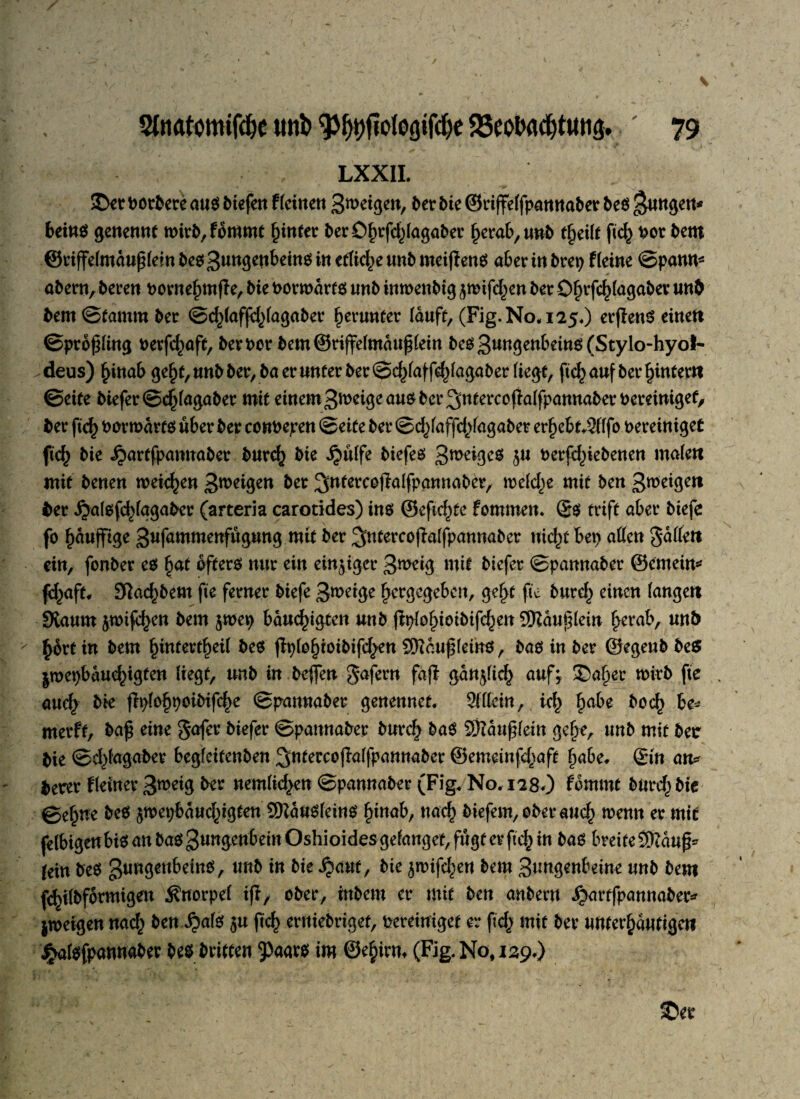 LXXII. Sxt botbere aus tiefen f (einen Beigen, 6er bie ©riffeffpannaber bes jungen* bein$ genennt wirft, fbmmt ^in(ec fterö()rfd)(agafter £erab,u«ft tfjeilt ftc^ vor ftem @ri jfefmdußfein ftes 3utt3Htbeino tfßcfe* unft meifieno aber in ftrep t(eine ©pann* aftern, fteren vornefnnfle, ftie vorwärts «nft inwenfttg ^wtfd^en fter O^rfc^Iagaftev unft ftem©famm fter ©dtfaffd^agafter fierunter laufe, (Fig. No* 125O erjlenS einen ©prbßUng verfc^aft, ftervor ftem®riffe(mdufi(ein ftes3uKgenbem$(Stylo-hyof- deus) f)inab ge§t, «nft fter, fta er unter fter ©d^faffd^agafter liegt, fic^ auf fter ^intern ©eite ftiefer ©c^lagafter mit einem 3meigeau$ fter ^ntercofklfpannafter vereiniget, fter ftd) vorwärts über fter convepen ©eite fter ©d)laffdt>lagafter erjiebt^flfo vereiniget fu$ ftie ^artfpannafter fturcfy ftie ^ülfe ftiefes 3meiges ju verfdneftenen ma(en mit ftenen weiten Steigen fter ^ntercajialfpannaftcr, weldje mit ften 3tveigert fter .$alsfcf)lagafter (arteria carotides) ins ©eftc^fe fomrnen. £s trift aber ftiefe fo f)dujftge 3«fnmmenfug«ng mit fter ^Mercofialfpannafter nic^t beti allen gdllett ein, fonfter es §at öftere nur ein einziger 3meig mit ftiefer ©pamtafter ©erneut* fd^aft, Sftad)ftem fte ferner ftiefe 3meige fjcrgcgeben, gefjt fte ftttrd) einen (angelt 9taum jwifc^en ftem jwep bduc^igten unft jtylol)iotfttfd)en Sftduplein l>erab, unft §6rt in ftem §infert£ei( ftes jtylo§ioiftifd>en Sl>ccu^(ein0, ftas in fter ©egenft fte$ iwepbauc^igten liegt, unft in fteflen gafern fafi gan^licfy auf; 35af)er wirft fte au<% ftie ftylo§poiftifcf>e ©pamtafter genennet. 2fttcin, icf) fjabe ftoef) be* merft, ftaß eine gafer ftiefer ©pannafter fturd> ftaS Sftdußfem gef>e, unft mit ftec ftie ©d)fagafter begleitenften ^ntercojlalfpannaftcr ©emeinfd^aft fiabe, ©in atu fterer Heiner 3weig fter nemlid^en ©pannafter (Fig* No,ii8,) fbmmt fturd^ftie ©efjne ftes jwepbaud^igten SftdöSleinS fynab, nac£ ftiefem, öfter auc£ wenn er mit felbigenbiS an ftaS gungenbein Oshioides gelanget, fugt er fid^ in ftas breite SWdu^ (ein ftes 3uv13ett^eittöA wtft m bie ^aut, ftie ^wifdjen ftem Stmgenbeine unft ftem f^ilftformigen Knorpel ifl/ öfter, inftem er mit ften anftern ijartfpannafter* jweigen nad^ ften ^als 5« fic^ ernieftrigef, vereiniget er ftd^ mit fter unter^dutigeit £al$fpannafter ftesftritten 3)aar$ im ©e£irm (Fig, No, 159,)