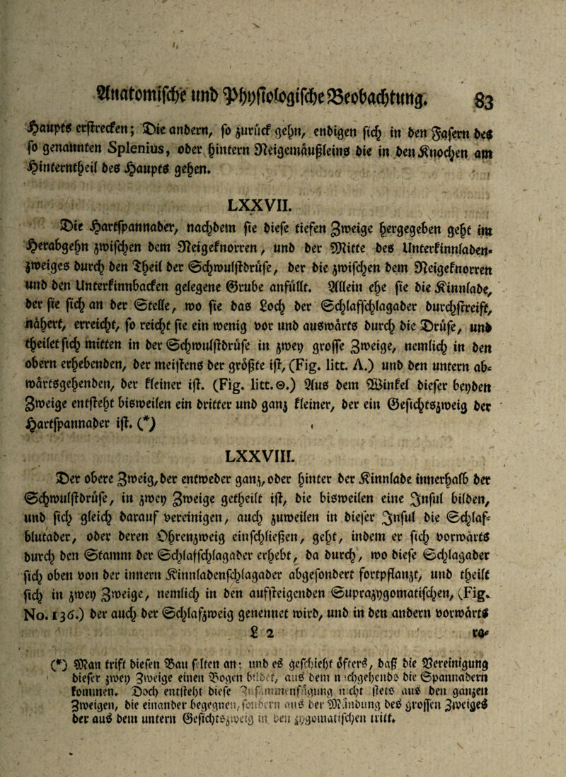 Sfarttomifd# unb Beobachtung. 83 \^aupf« erflrecfett; £)ie an&ent, fo jurutf ge^tt, enfcigen ftd) in bett Unfern be« fo genannten Splenius, ober jjtntem Stteigemäußleinö bie in benÄnoc^en am ^infetntfjetl beo £aupf$ ge§en. > LXXVII. ©ie ^artfpannabet, nad^bem fte t)iefe tiefen gweige §ergege6en gefjt im ^etabgeljn jmtfe^en bem Steigefnorren, «nb ber Glitte be$ Unterfinnlaben* iweiges bur<$ ben Sljeil ber ©cfjwulflbtufe, bet bie jwifcl^en bem SReigefnorren «nb ben Unterfinnbacfen gelegene (Stube anfullt. 9111ein efje fte bie .K'innlabe, bet fte fic^an bet ©teile, wo fte bao £oc^ bet ©d}laffd/lagaber burd^jrreift, itd^ett, erreicht, fo teic^t fte ein wenig Pot unb auowdrto burc£ bie Stufe, unb feilet ftc£ mitten in ber ©djwulftbrufe in ^wep grojfe 3wei9e/ uemlicf) in ben obetn et^ebenben, bet mei|fenö bet größte if, (Fig. litt. A.) unb ben untetn ab* wdrtogefjenben, bet Reiner ifh (Fig. litt.©.) 91uö bem ®infe( biefet bepbett gweige entfielt bioweilen ein btiftet unb ganj Reiner, bet ein ©eftc^weig bet £artfpannaber ijt. (*) LXXVIIL Set obete 3^eig,bet entwebet gan^ober hinter bet $innlabe innerhalb bet ©cfjwulßbrufe, in ^wep gweige geteilt iff, bie bisweilen eine 3nfu( bilben, unb ftd} gleich barauf oereinigen, and) zuweilen tn biefet ^nful bte ©d}laf blutabet, obet beten öfjrenjweig eittfe^fteßen, ge£f, inbem et ftd} oorwdrts butc^ ben ©famm bet ©d)laffd}lagaber ergebt, ba butc^, wo biefe ©d)fagaber fid} oben oon bet innetn ^innlabenfcblagaber abgefonbert forfpßan^t, unb t^eilt ftd} in ^wep Steige, nernltc^ in ben aufßetgenben ©upta^pgomatifd^en, (Fig^ No. 136.) bet aud} bet ©d}laf<$weig genennet witb, unb tn ben anbetn porwdrttf £ 2 ' ra* (*) $ttan triff biefen Bau fiten an; unb eS gefcf?ief)f öftere, baß bie Bereinigung 1 tiefer jtoep 3weige einen Bogen btlbef, aitö beut n *d)gef)cnbb bie ©pannabem foutmen. £)od> entfiel)! biefe ?uf mmenfugung njdjt jiete am ben ganzen 3weigen, bie eittanber begegnen,feubern «uä ber 93?nnbtmg beO großen 3»veige$ bet auO bem unfern ©eftd)te$ioeig m ben £pgoutatifd)en tritt» .