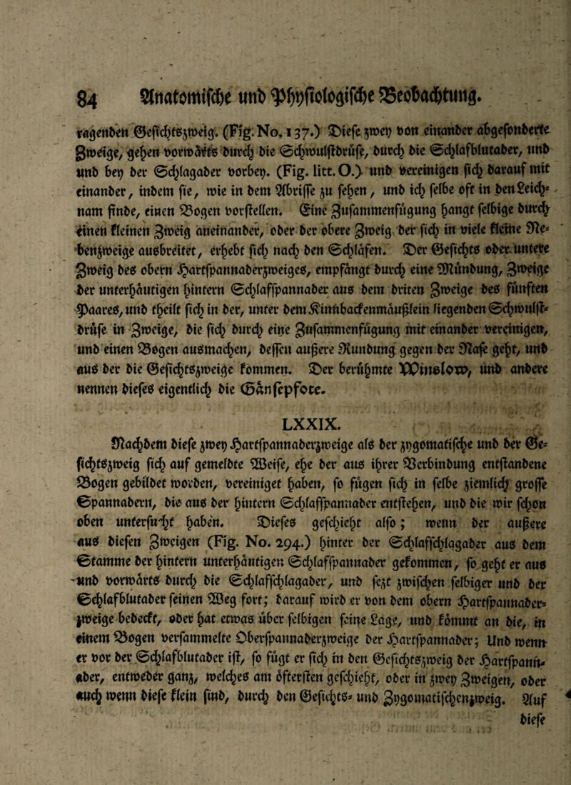 ragenben ®efid)ts$weig* (Fig. No* 137O ©iefe 5wep von einanber abgefonberfe £$weige, gehen vorwärts burd,) bie ©chwulßbrüfe, bmd) bie ©d^lafblutaber, imb unb bep ber ©d^lagaber vorbep. (Fig. litt. O.) uttb vereinigen ftch barauf mit einanber, inbem fte, wie in bew 9fbrijfe ju fe§en, unb ich felbe off in benSeid^ nam ßnbe, einen Sogen vorßellen. ©ne 3nfammenfügung hangt felbige burc^ änen fleinen 3weig aneinanber, ober ber obere ßweig ber fid} in viele fleine benjweige ausbreitet, ergebt fid^ nach ben ©d^lafen. ©er ©efichts obetüntere ßweig bes obern .^artfpannaberjweiges, empfangt burch eine 9Rünbung, 3me'fle ber nnterfjautigen hinfern ©dßaffpannaber aus bem briten ßweige bes fünften 9>aareS,unb tfjeift fid^in ber, unter bem^innbacfenmaußfein liegenben©chwnlß* brüfe in Sweige, bie fich burd^ eine gufammenfügung mit einanber vereinigen, unb einen Sogen ausmachen, beffcn äußere Siunbung gegen ber 9Zafe geht, unb aus ber bie ©eßchtsjweige fornmen. ©er berühmte XVitwlQTP/ unb anbere nennen biefes eigentlich bie ©anfepfote* LXXIX. Sßachbeftt biefe jwet)<$arffpannabet$weige als ber jpgomafifche unb ber @e* fichfSjweig ftd^ auf gemefbte ©eife, ehe ber aus» ihrer Serbinbung entßanbene Sogen gebilbet worben, vereiniget hüben, fo fügen ftch in felbe jiemlid; große ©pannabern, bie aus ber hintern ©d)(affpannaber entgehen, unb bie wir fd^on oben unterfuhr fyciben. ©iefes gefdße^t alfo; wenn ber äußere aus biefen ßtveigen (Fig. No. 294.) hinter ber ©d>laffd;lagaber aus bem ©tamme ber hinfern unterhautigeu ©d^laffpanuaber gefommen, fo.geht er aus unb vorwärts burcf) bie ©d^laffd^lagaber, unb fat $tvifd;en felbiger unb ber ©ehlafblutaber feinen 2Öeg fort; barauf wirb er von bem obern ^artfpannaber* jWeige bebecft, ober hat etwas über felbigen feine Sage, unb Uxntm an bie, in einem Sogen verfammelfe Dberfpannaberjweige ber ^artfpamtaber; Unb wenn- er vor ber ©ehlafblutaber iß, fo fügt er ßd,) in ben ©eßd^meig ber $avtfpann* «ber, enttvebtv gan$, welches am ofterßen gefd^efß, ober in jwep Zweigen, ober mich Wtw Pfete fab, burch ben ©eßd^ts* unb Spgomatifcheniweig. 3fuf biefe