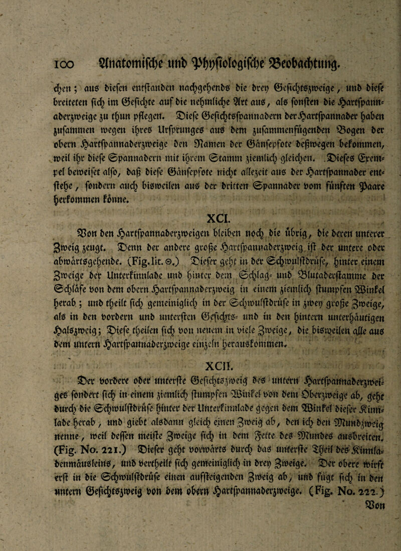 d)en; aus tiefen entfernten nachgebento tie trep ©eficht^wetge, unt tiefe breiteten fidj) im @eftc|fe auf tie ne§m(ic^e 9frt aus, afo foulen tie Jjartfpann* aterjweige $u fyun pfTegen^ ©iefe ©eftchtofpannatern ter.$artfpannater fyaben jufammen wegen ibreo Urfprungeo aus tem jufammenfügenten 53ogen ter obern ^arffpannater^weige Den Sftamen bet ©dnfepfote tefwegen befommen, weil i^r tiefe ©pannatern mit ihrem ©tamm ^iemüd) gleichem . 3>iefeö Spem* pel beweifet alfo, taf tiefe ©anfepfote nid)f allezeit auo ter .^artfpannater ent* ßehe, fontern auch bioweilen am ter triften ©pannater Pom fünften 5^are heefommen tonne. XCI. S5on ten ^artfpannaterjweigen bleiben nod) tte übrig, tie teren unterer 3weig §eugt. ©enn ter untere große ^arffpamtaberjweig iß ter untere ober abwarfogebente* (Fig.lit.©*) ©iefer geßt in ter ©cfewulfltrufe, fyntee einem 3weige bet Unterfinnlate mb hinter tem Schlag* unt 23lutaterffamme ter ©d^ldfe Pon tem obern JjartfpannA&erjweig in einem ^iemlicl) jfumpfen SBtnfel herab ; unt t^eilt ficb gemeiniglich in ter ©d^wulfitrüfe in $wep große 3we1ge, alo in ten Portern unt unfevßen ©eftd/fo* unt tu ten hintern unfethduftgen ^atejmeig; ©tefe feilen ftd^ Pon neuem in Piele ß^eige, tie bionjeilen alle aus tem unfern ^artfpannater^weige em$efn hetauofommem XCIL ©er Portere ober Unferfle ©eftd>fc5weig teo unfern ^arffpannaterjWet geO fontert fleh ttPeiuem ziemlich fluropfen ®infei Pon tem Öber^weige ab, gebt turd> tie ©chwulffbrufe binfer ter Unterfinnlate gegen tem 5Btnfe( tiefer ÄtmP labe herab, unt gtebf alobamt gleich einen 3metg ab, ten ich ten SRuHb^wtta nenne, weil teffen meijfe 3tt>eige ftef) in tem gefte beo COTunteO duobretfem (Fig. No. 22i*) ©iefer gebt Povwdrfö tureb tao nnterffe ^beif teo ^innfa^ tenmdnoleino, unt Pertbeilf ftcb gemeiniglich in trep gftetge«; ©er obere wirft erff in tie ©<^wU((ftrufe einen aufßeigenten 3^rig ab, unt fugt ftcb *n ten untern ©eß^tOiweig Pon tem obern $artfpdnnaberjweige. (Fig, No. 222) ’ S3on