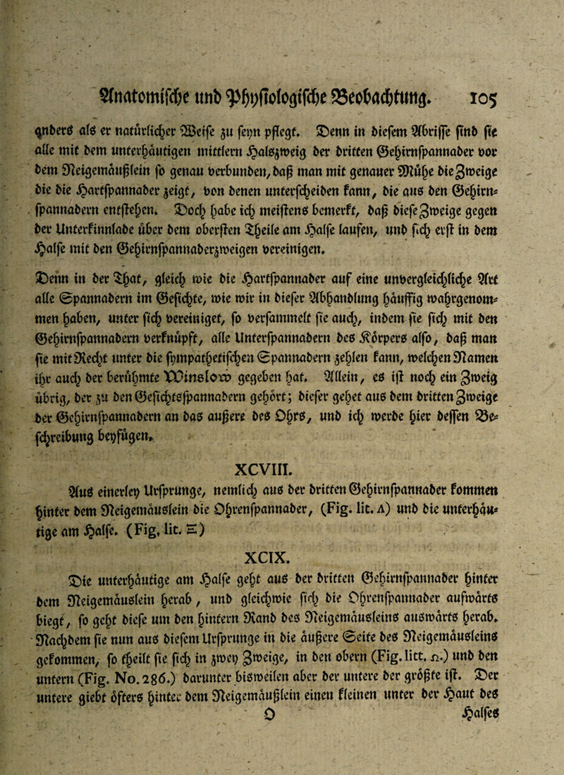 gnterS afe er natürlicher SBeife $u fepn ©enn in tiefem 2T6riffe ftnt fte aKe mit tem unterfidutigen mittlern .$al$$meig 5er Triften ©efjirnfpannater oor 5em 9}eigemduß(ein fo genau oerbunten, taß man mit genauer 9Ku§e tie^roeige tie bk Jjarffpannater $eigf, oon tenen unterfd^eiten tarn, tie aus ten ©e(jirn* fpannatern entjleljcn* ©od^ habe id} meijlens bemerft, baß tiefe gmeige gegen 5er Unterfinnlabe über 5em oberpen $(jeile am Jpalfe laufen, un5 fic() evft in 5em $alfe mit 5en ©e^irnfpannaber^meigen pereinigen» ©enn in 5er tyat, gleief) rate 5ie ^artfpamtater auf eine unPerg(eid^(ic^e 9(rf alle ©pannabern im ©eftd^fe, mie mir in tiefer 9ib§an5(tmg ^attfftg maljrgenom* men haben, unter ftd) oereiniget, fo oerfammelt fte aud^, intern fte ftd) mit ten ©ef)imfpannabern oerfnüpft, alle Unterfpannatern tes Körpers alfo, baß man fte mit^ed^t unter tie fpmpathetifd)en ©pannabern fehlen fann, meinen tarnen iljr aud) 5er berühmte XXHneloto gegeben hat» Wllein, es i|l noch ein gweig übrig, 5er ju ten©efi^tefpannabern gehört; tiefer gehet aus tem triften gmeige ter ©efpirnfpannatern an bas äußere beS Öhrs, unt ich merte §ier beffen 33e* fchreibung be#gen> XCVIIL 5fu$ einerlep Urfprunge, netnltd) aus ter triften ©efurnfpannaber Fommen hinter tem Steigemduslein tie D^renfpannater, (Fig. lic. a) unt tie unter(jdu* tige am JJatfe. (Fig» lit. S) XCIX. J)te unter^dutige am ijalfe ge|t aus ter triften ©efurnfpannaber fjinfet tem gieigemduslein fperab, unt gleichwie ftcf> tie O^venfpannater aufwärts biegt, fo geht tiefe um ten (unfern 9tanb tes Sieigemdusleins auswärts herab. Stadstem fte nun am tiefem Urfprunge in tie äußere ©eite tes SMgemausleinS gefommen, fo fyilt fte ftd) in jwep gweige, in ten obern (Fig. litt, n.) unt ten untern (Fig. No. 286-) tarunter bisweilen aber ter untere ter größte ifh ©er untere giebf öfters hinter tem Sleigemdußlein einen fleinen unter ter £aut tes 0 £affe$