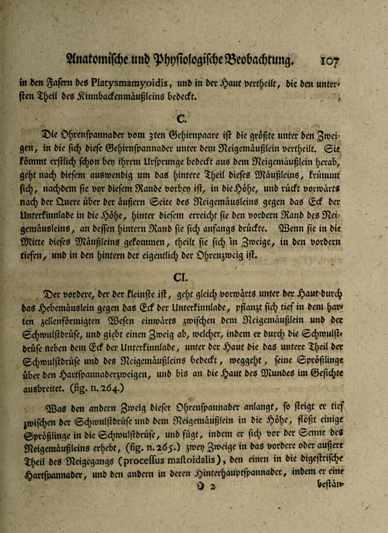 i 2foatom{fd)e utib ^ht;fioJogifche Beobachtung. 107 itt ben $afern be$ Platysmamyoidis, unb itt bet* ^aut Pertf)eilt, bie ben untere jten 5^ei( bes jfinnbacfenmdußleins bebecft. ';» C. ©ie O^renfpamtabet Pom gfen ©efurnpaare ift bte größte unter bett gweb geh, in bte fich biefe ©efuwfpannaber unter bem Sieigemdußlein Pertheiit. ©ie. fotnrnt erfHich fc^on bep ihrem Urfprunge bebecft aus bem 9teigemdußlein herab, geht nach biefem auswenbig um bas (untere 5§et( biefes Qftdußleins, frummt ftch, nac^bem fte Por biefem Sfanbe Porbep ifl, in bte^o^e, unb rucft Porwdrts nach ber Stuere über ber äußern ©eite bes Sftetgemausfeins gegen bas ©cf ber Unterfinnlabe in bie (unter biefem erreicht fte ben oorbern 9tanb bes Sftei* gentdusleins, an beffen (untern 9tanb fte ftch anfangs brucfte. ©enn fte in bie Stifte biefes SKdußleins gefommen, t§ei(t fte ftch tn g^eige, w ben Porbern tiefen A unb in ben hintern ber eigentlich ber Öhrenjmctg iff* CI. ©er Porbere, ber ber fleittjle iff, gefu gleich bormart^ unter ber ijautburch ba$ jjebemduslein gegen bas ©cf ber Unterfinnlabe, pßan$t ftch tief in bem hgr* ten $ellenformigten ©efen einwärts ^wifchen beut 3fteigemdußlein unb ber ©chwulflbrufe, unb gi^bt einen gweig ab, welcher, tnbem er burd} bie ©chwulfk brufe heben betn ©cf ber Unterfinnlabe, unter ber ipaut bie bas untere ?hc^ ber ©chwulflbrufe unb bes gieigemaußleins bebeeft, weggeht, feine ©prößlinge über ben £artfpannaber$weigen, unb bis an bie JQaut bes SÜiunbes im ©eftchte ausbreitet* (fig. n, 264.) ©aS ben anbern gweig biefet* Ohreufpannaber anlangf, fo (Tetgt er tief jwtfd^en ber ©(^wuljibrufe unb bem 9ieigemaußlein in bie $?fyc, flößt einige ©prößlinge in bie ©djwulflbrufe, unb fugt, inbem er fid) Per bee ©ernte be$ gWgemaußleins erhebt, (fig. n.265.) $wep gweige in bas Porbere ober äußere Ztyii bes 3fteigegangs (proceffus maftoidalis), ben einen in bie bigeflrifche t^artfpunnaber, unb ben anbern in beren ^interhuuptfpannaber, tnbem er eine