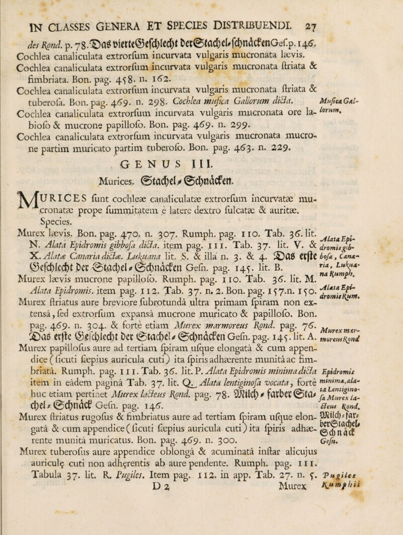 des Rgnd. p. eiettc®efcl)lccl)f t'C(©tfld)eUfd[)ndcfenGef.p. 146’. Cochlea canaliculata extrorfum incurvata vulgaris mucronata laevis. Cochlea canaliculata extrorfum incurvata vulgaris mucronata ftriata & fimbriata. Bon. pag. 458- 1^2. Cochlea canaliculata extrorfum incurvata vulgaris mucronata ftriata 8c tuberofa. Bon. pag. 4*59. n. 298- Cochlea mufica Gallonm diBa, Cochlea canaliculata extrorfum incurvata vulgaris mucronata ore la- biof) mucrone papillofb. Bon. pag. 46'9. n. 299* Cochlea canaliculata extrorfum incurvata vulgaris mucronata mucro^ ne partim muricato partim tuberofb. Bon. pag. 46*3 • n. 229« , G E N U S 1 II. Murices, @cl&ndcf«n. ^^URICES funt cochleae eanaliculatae extrorfum incurvatae mu. - cronatae prope fumrnitatem e latere dextro filicatae dc auritae. Species. Murex laevis. Bon. pag. 470. n. 307. Rumph. pag. no. Tab. 36'. Iit. N. Alata Epidromis gihbofa diBa. item pag. Iii. Tab. 37. Iit. V. & yi. Alata Canaria diBa. Luk^ana lit. ;S. & illa n. 3. & 4. ©efc{)]cd&tpec @t^d>el^@cfell^ Gefn. pag. 14^. lit. B. Murex laevis mucrone papillofb. Rumph. pag. iio. Tab. 36’. lit. M. Alata Epidromis, item pag. 112, Tab. 37. n. 2. Bon. pag. j 57.n. 1^0. Murex ftriatus aure breviore fubrptunda ultra primam fpiram non ex¬ tensa , fed extrprflim expansa mucrone muricato & papillofb. Bon. pag. 46'9. n. 304. & forte etiam Murex marmoreus Egnd. pag. 76. erjlc ©efc^iiecbt @tac{)e!i? @d)ndcfen Gefn.pag. 145. lit. A. Murex papillofus aure ad tertiam fpiram iifque elongata cum appen¬ dice (ficuti faepius auricula cuti) ita fpiris adhaerente munita ac fim¬ briata. Rumph. pag. 111. Tab. 36'. lit. P. Alata Epidromis minimadiEia item in eadem pagina Tab. 37. lit. Alata lentiginofa vocataforte huc etiam pertinet Murex laBeus Bgnd. pag. 78. d}eb@d()ndcf Gefn. pag. 14.6. Murex ftriatus rugoflis &. fimbriatus aure ad tertiam fpiram ufque elon¬ gata Sl cum appendice ( ficuti faepius auricula cuti) ita fpiris adhae¬ rente munita muricatus. Bon. pag. 46'9. n. 300. Murex tuberofus aure appendice oblonga «5c acuminata inftar alicujus auricul^ cuti non adherentis ab aure pendente. Rumph. pag. iii. Tabula 37. lit. R. Pugiles, Item pag. 112. in app. Tab. 27. n. f. D 2 Murex Mujtca lorum^ .Alata. Epi^ dromisgi6‘ bofa, Cana'' ria, Luk^a' na Allata Epi- dromiil{unt» Murex mav^ tnoremf^ond Epidromis mini'ma,ala-‘ ta Lentigino- fa Murex la- Sieus ^ond^. kr0iac&e(# 0cl)nace Gefn, 'Pugiles