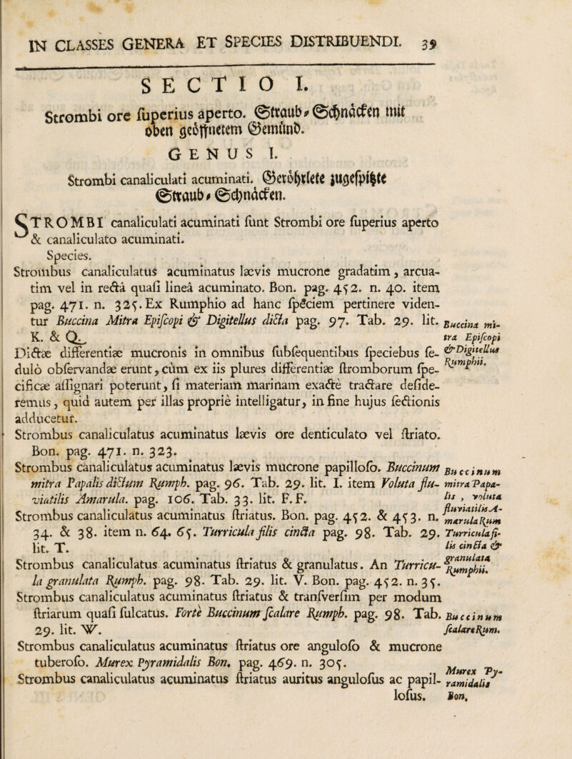 SECTIO I. Stfombi ore lupcrius aperto. uiit obet» {je6ftn<tem ©cmftnb. Genus i. Strombi canaliculati acuminati. ©«ttub # @d)ndcf «n. CTRGMBI canaliculati acuminati liint Strombi ore (uperius aperto ^ & canaliculato acuminati. Species. Stroinbus canaliculatum acuminatus laevis mucrone gradatim j arcua- tim vel in re^a quali linea acuminato* Bon. pag. 452* n. 40. item pag» 471. n. 32^* Ex Rumphio ad hanc fp5ciem pertinere viden¬ tur Buccina Mitra Epfcop ^ Digitellus di&a pag* 97. Tab. 29. Iit. Succino, mt- K. <Sc CL-. Bpfcopi Diiflse differentiae mucronis in omnibus fubfequentibus Ipeciebus &DigiteUus duio obfervandae erunt, citm ex iis plures differentiae flromborum fpe- cificae affignari poterunt > fi materiam marinam exadte tradiare defide- remus, quid autem per illas proprie intelligatur, in fine hujus fedionis adducetur. Strombus canaliculatus acuminatus laevis ore denticulato vel firiato, Bon. pag. 471. n. 323* Strombus canaliculatus acuminatus laevis mucrone papillofb^ Buccimm Bucxinum mitra Papalis di&um B^wph, pag. 96’. Tab. 29. Iit. I. item Voluta jiu~ mitra Vapa- viatilis Amarula. pag. io6’. Tab. 33. Iit. F. F. Strombus canaliculatus acuminatus ftriatus. Bon. pag. 4^2. & 45'3. 34. & 38* item n. 6'4. 6^. Turricula filis cinSla pag. 98. Tab. 29. Turricula fi- Iu cinBa & Strombus canaliculatus acuminatus ftriatiis & granulatus. An Turricu- la granulata pumph. pag. 98. Tab. 29. Iit. V. Bon. pag. 452. n. 3^. Strombus canaliculatus acuminatus flriatus & tranfverfim per modum ftriarum quafi fulcatus. Forte Buccimm Jcalare Bumpk pag. 98. Tab. Bucdnum 29. Iit. fcalariB^m. Strombus canaliculatus acuminatus flriatus ore angulofo & mucrone tuberofo. Murex Pppramidalis Bon^ pag. 46'9. n. 30^. Murex T Strombus canaliculatus acuminatus firiatus auritus angulofus ac papil- ramidali/^ lofus, Bon,