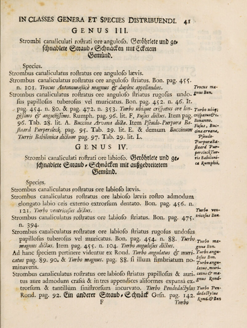 GENUS III. Strombi canaliculati roftiati ore angulolb. ©CtO&rlcK UtlD gj# fcljnrtblete ©tcaub # @cl)nacfen uit! Scfftem ©itnfitiD. Spedes. Strombus canaliculatus roftratus ore angulofb laevis. ^trombus canaliculatus roftratus ore angulofo ftriatus. Bon. pag. 4^^. n. lOl. Trocus Atttommajiice magnus ^duplex appeUandus. Strombus canaliculatus roftratus ore angulofb ftriatus rugoftis undo- flis papillofus tuberoftis vel muricatus. Bon. pag. 452. n. 46”. It. pag. 45”4- n. 80. & pag. 472. n. 3^3. Turbo ubique crifpatus ore lon¬ gi!] imo anguUiffimo, Rumph. pag. 96. Iit. F. Fufus diBus. Item pag. ^6. Tab. 28. Iit. A. Buccina Arvana diBa. Item Ffeudo-Purpura Ba- Jtaard Purperslec/^. pag. 95”. Tab. 29. Iit. E. & demum Buccinum Turris Babilonica di&um pag. 97. Tab. 29. Iit. L. GENUS IV. Strombi canaliculati roftrati ore labiofo. Unb fc^nablcte 0uaub / (gd>ndcfcn mit aupsebteitetem ©cminD* Trocus mx- gnus Bm, Turbo ubufi crifgatui&€, Bonanno. Fufus f Buc^ cinaarranx, 'Pftudo’ PurpuraBx^ fixxrd Vur^ fersLecltfur» ris habUoni- cx R^umphii, 'Species. Strombus canaliculatus roftratus pre labiofo laevis. Strombus canaliculatus roftratus ore labiofo laevis roftro admodum elongato labio eris externo extrorfum dentato. Bon. pag. 456. n. 121. Turbo veutricofus ditius. Turbo ve«- Strombus canaliculatus roftratus ore labiofo ftriatus. Bon. pag. n. 394- Strombus canaliculatus roftratus ore labiofo ftriatus rugofus undofiis papillofus tuberofus vel muricatus. Bon. pag. 454. n. 88- Turbo magnus diBus. Item pag. 4^^. n. 104. Turbo angulofus di&us. gnus Bon. Ad hanc fpeciem pertinere videntur ex Rond. Turbo angulatus ^ muri- Turbo xngu- catus pag. 89. 90* & Turbo magnus, pag. 88- fi illum fimbriatum no- minaveris. Utus.muri- Strombus canaliculatus roftratus ore labiofo ftriatus papillofus & auri- tus aure admodum crafsa & intres appendices aliformes expansa Kond- ' trorfum A: tantillum finiftrorfum incurvato. Turbo Pendeda&ylus Turbo Ven- Rond. pag. 92. Qn atlUXtX @traub^0cl)nacf Gefn. pag. 142. F Turbo ^