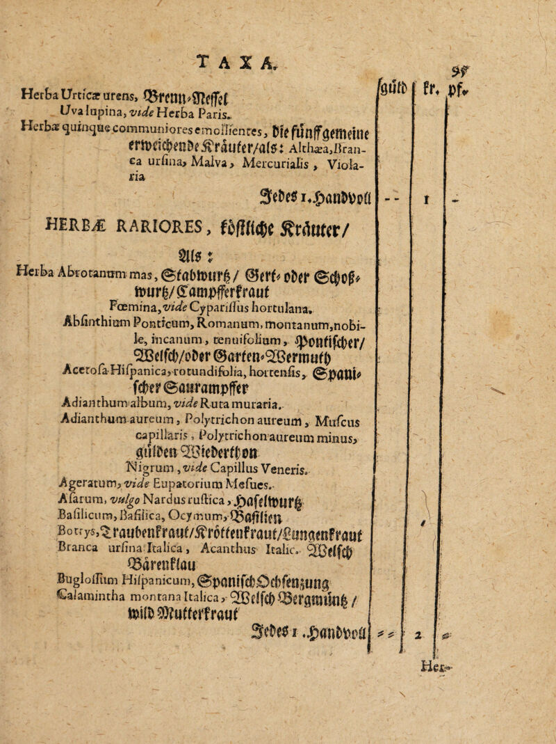 Herta Urtica: ursns, ®rentt*9l#f Uvalapina,w^Hetta Paris. HerbarquiiKjaecommunioresemoriienres, ßtjfuflfföfllifin? eroticfrtnD«$riuftr/ate: EE- ca urfina» Maiva > Mercurialis . Viola- ria i4£öB&v>ofl here^ rariores , WM# milttt/ - • Site j Herba Abtotanmn naas, ©f oKfl* <g$og* fturl/gampfferfrauf Fcemina, vide Cypanilus hortuiana, Äbfinthiam Pontrcum, Romanutn, momanum,nobi¬ le, incanum, renuif'oimm, •Q>0£tfif(J)(r/ <2Bdfd)/oDer ©arfm^Gertmdi) AcetofaHifpanica» rotundifolia, horteniis,. f#er@üiirampfftr Adianthum album, vide Rura muraria.» Ädianthum aureum 5 PoJytrichon aureum, Mirfcus capilkris , PoJytrichon aureum minus* gülDm SEBietwfljotr Mgrum, vide Gapillus Veneris« Ageratutn>vide Eupatorium Mefues, Afarum, vulgo Nardusruftica j Bafilicum, ßafilica, OcymumyQ3ßfJ{jf jj, Bocry^^rau&enfrauf/^roffenfrauf/Scmg^nFrauf Branca ur/ina Italica, Acandro? Italic.- <2QBHfCb mrmllm BugloiTiim Hifpankum,@p(|nif(|)£)f()ftj|5Uttg Calamintha montana Italica y 2BeJf0 Ö5crölWtJ(lfe / Wiuttiit rauf i ♦•g>anto*cfl