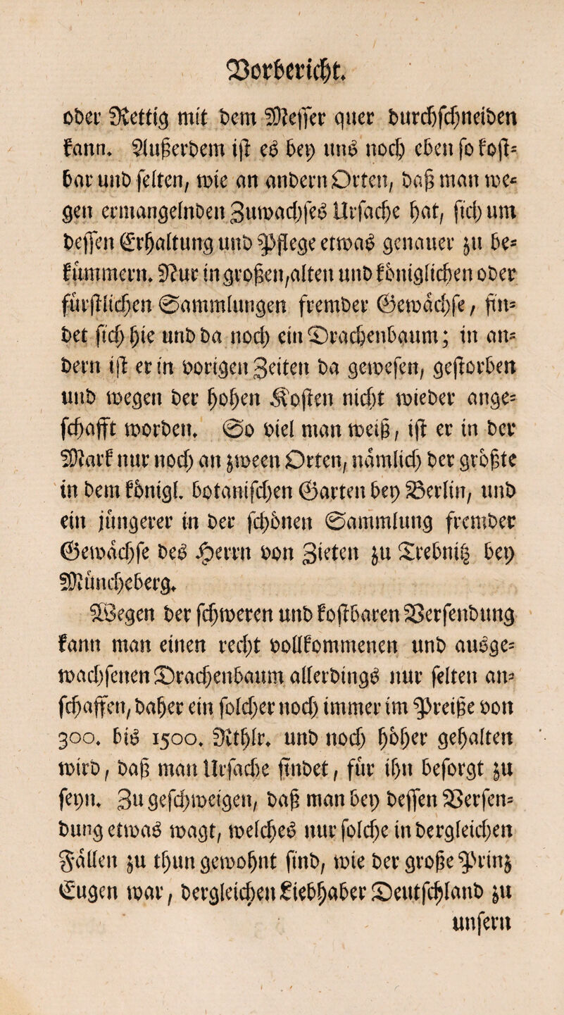 1 Söorberidjt. ober fettig mit bem Sftejfer quer burdjfdjneiben fnnn. Slujierbem ijt eö bep tut» nodj eben fo foft= bar unb feiten, rote an anbernOrten, baj? manroe<= gen ermattgelnben 3uroad)feO Urfadje f>at, fiel) um beffen ©Haltung unb pflege etroa£ genauer p be* fummertt. 9?ur in großen,alten unbfbntgltdien ober fürfilicljen @ammlutigen frember @erodd)fe, ftit* bet fsd) fjie nnb ba nod) ein ©racbenbaum; in am bmt ifl er in »origen 3eiten ba geroefen, geworben «ttb roegett bet f)ol)en Sofien nid)t roieber ange= fcf>afft roorbett. @o »tel man roei§, iff er in ber 'EOiarf nur ttoef) an jroeen Orten, namlid) ber größte in bem fbnigl. botanifdjen (Saiten bep 23erltit, nnb ein jüngerer in ber fdtönen Sammlung frember ©eroadjfe beb jfper-rn »on Sieten p Srebimj bep fOtnndjeberg. SBegen ber ferneren unb fojfbaren SSerfenbung fantt man einen red)t »ollfommenen unb auoge= roadjfctten ©radjenbaum allerbtngb nur feiten am fefjaffen, bafjer ein fold;er nod) immer tm $»rei^e »on 300. bis 1500. JKtfjlr. unb nod) fjbjjer gehalten roirb, bap man llrfadje finbet, für if)it beforgt p fepit. 3u gefd>roeigen, baf? man bep beffen Sßerfero bungetroaS roagt, roeldjeS nurfoldje inbergleidjen fallen p tfuttt geroofjnt ftnb, roie ber grofe g>rinj ©gen roar, bergleicbeit Ciebfiaber Oeutfdjlaub p unfern I