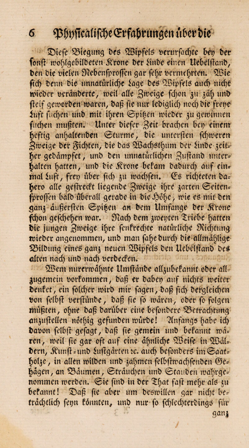 SDtefe93iegung bei QBtpfete perurfad)te bei) ber fonfl mofdgebilbeten AVone bet* itnbe einen Uebeljlanb, ben bie bieten 9?ebenfproffen gar fefyr permehrtem ®ie ftch benn bie unnatürliche iage be$ ®ipfel£ aud) nicht mieber perdnberte, roeü alle B^ige fd)on ju 50h unb fteif gemorben maren, baß fte nur lebtglid) nod)bie frepe iuft fiid)en unb mit ihren ©pi|en mieber ju geminnen fueben mußten* Unter biefer 3^t brachen bet) einem heftig anhaltenben ©türme, bie unterflen fd)meren 3metge ber $id)ten, bie bai ®5ach^hünt ber itnbe jei^ her gebdmpfet, unb ben unnatürlichen B^ßanb unter¬ halten hatten, unb bie ^rone befam baburd) auf ein* maliuff, frei) über ftch $u mad)fern & richteten ba= hero alle gejiredt liegenbe Steige ihre garten ©eitern fproffen bdfb überall gerate in bte$ohe> w^e üiit ben ganj äußerten ©pi|en an bem Umfange ber ifrone fhon gefd)ehen mar* 91ach bem jmepten Triebe hatten bie jungen 3^ige ihre fenfred)te natürliche 9ud)tung mieber angenommen, unb man faheburd) bie aümdhlige Salbung eines gan^ neuen üßipfels ben Uebelßanb bei dien nad) unb nad) Perbecfen* ®em nurermdhnte Umfidnbe alljubefannt ober alU jugemein porfommen, baß er babep auf nichts meiter benfet, ein folcher mirb mir fagen, baß ftch begleichen pon felbfi perjhmbe, baß fte fo maren, ober fo folgen müßten, ohne baß barüber eine befonbere 23etrad)timg anjufMen ndthig gefunben mürbe! Anfangs habe id) bapon felbfr gefagf, baß fte gemein unb beiannt ma= ren, mell fte gar oft auf eine ähnliche SJÖeife in ®dU bern, .^tinfbunb inflgarfen :c* auch befonberS im©aaf= hol^e, in allen milben unb Rahmen felbjlmachfenben @e* fragen, an 23dumen, ©trdud)en unb ©tauben mahrge¬ nommen metben* ©ie ftnb in ber ?hat faß mehr als $u befannt! S)aß fte aber um besmillen gar md)t be^ frdchtlich fepn Knuten, unb nur fo fd)led)terbings für