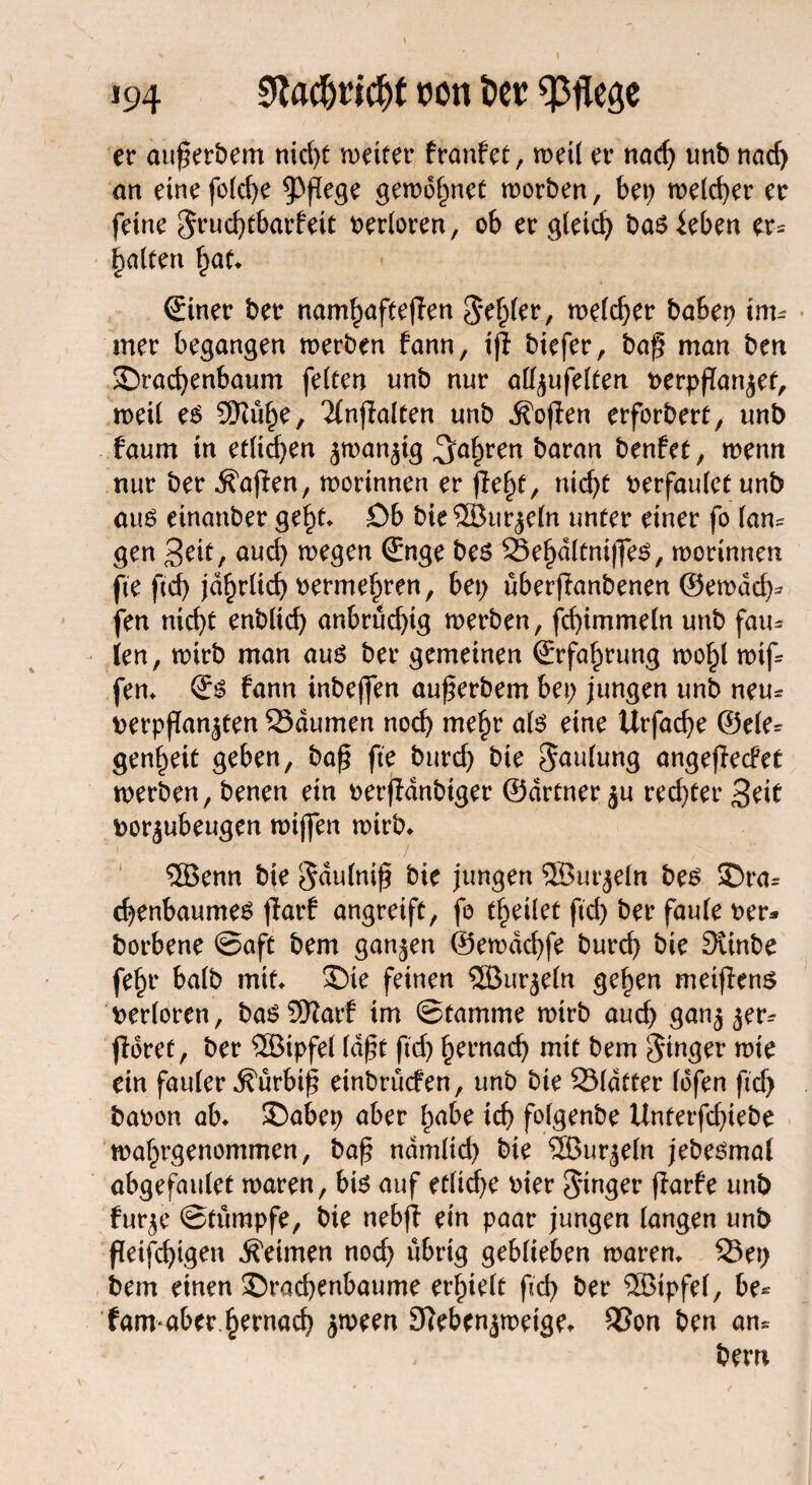 I 194 SWtic&t von tot pflege er auferbem nicht weiter franfet, weil er nad) unb nad) an eine folche pflege gewönnet worben, bet) welcher er feine Jruchtbatdett verloren, ob er gleich basieben er* galten £at* (Einer ber namhaftepen Jehler, welcher habet) im- mer begangen werben fann, ip biefer, bap man ben ©rachenbaum feiten unb nur al^ufelfen verpPanzet, weil es SRit^e, Ttnpalten unb Sofien erforbert, unb faum in etlid)en zwanzig fahren baran benfet, wenn nur ber Mafien, worinnen er pelp, nid)t verfauletunb aus einanber geht» öb bieSÖJurzeln unter einer fo lan¬ gen Seit, auch wegen (Enge bes Sehdltniffes, morinnen fte ftd) jährlich oermehren, bet) überpanbenen ©ewdd)* fen nicht enbltcf) anbrüd)ig werben, fd)imme(n unb fau* len, wirb man aus ber gemeinen (Erfahrung wolpl wip fen» (Es fann inbejfen auperbem bet) jungen unb neu^ verpflanzten Säumen noch wehr als eine Urfache ©eie* genheit geben, bap fte burd) bie Jaulung angepecfet werben, benen ein verpdnbtger ©drtner ju rechter Seit vorjubeugen wiffen wirb» 5Benn bie Jdulnif bie jungen ®tu*zeln bes 3Dra* cf)enbaumes parf angreift, fo theilet ftd) ber faule ver* borbene ©aft bem ganzen ©ewdcbfe burd) bie Stinbe fehr halb mit» 25te feinen ®ttrzeln gehen metpens verloren, basSftarf im ©tamme wirb aud) ganz zer^ fioref, ber ®ipfel (dpt ftd) hernach mit bem Jinger mie ein fauler .Sürbip einbrüden, unb bie Sldtter lofen ftd) bavon ab» £>abet) aber l^be ich folgenbe Untetfdpebe wahrgenommen, bap ndmlid) bie ®urze(n jebesmal abgefaulet waren, bis auf etliche vier Junger parfe unb furze ©tumpfe, bie nebp ein paar jungen langen unb Peifchtgen keimen nod) übrig geblieben waren» Set) bem einen $)rad)enbaume erhielt ftd) ber ®tpfel, be* fam aber.hernach jween 9?ebcnzweige» Son ben am bem