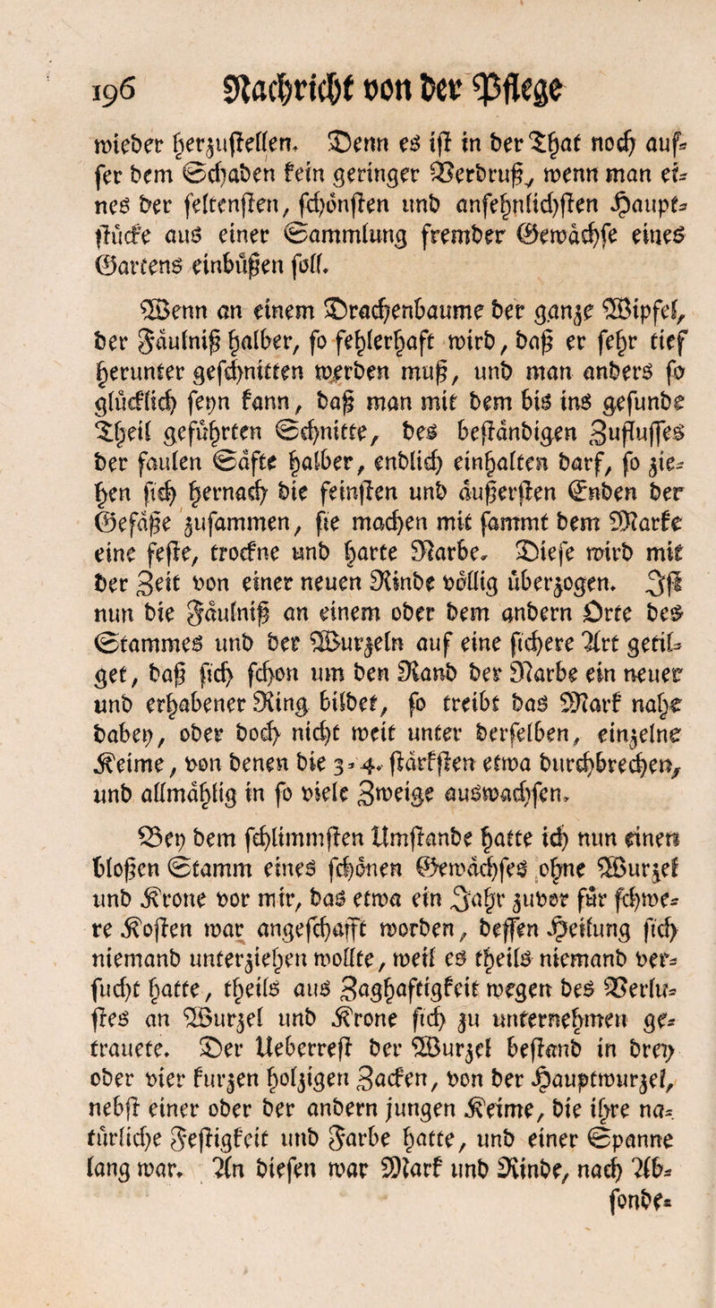 lieber perjujlcfleru SDenn eg ip in ber^pat noep auf* fer bem ©d)aben fein geringer QSerbruf7 wenn man ei* neg ber fettenfien, fd)dnpen tmb anfepnftd)pen ^aupfa pücfe aug einer Sammlung frember ©ewdepfe eines ©artend etnbüpen fall, ©enn an einem 35racpenbaume ber gan^e ©tpfel, ber ^aufni^ falber, fo feplerpaft wirb,, bap er fepr tief perunfer gefd>nitten werben mup, unb man anberg fo glücflicp fepn fann, bap man mit bem big ing gefunbe $peü geführten ©erntete, beg bepdnbigen Sufjuffeg ber faulen ©dfte falber, enbliep einpalten barf, fo jißs pen fiep pernaep bie feinpen unb duperpen ©nben ber ©efdpe jufammen, pe machen mit fammt bem ®arfe eine fepe, troefne unb parte 31arbe* SDiefe wirb mit ber 3?it bon einer neuen 3imbe ballig überzogen, 3P nun bie $dulntp an einem ober bem anbern Orte beg ©tammeg unb ber ©urjeln auf eine ftepere llvt getü* gef, bap fiep fepon um ben 3knb ber 97arbe ein neuer unb erhabener 9ling hübet, fo treibt bag SRarf nap£ babep, ober bod> nid)t weit unter berfelben, einzelne ^etme, bon benen bie 3*4* partpen etwa burepbreepen, unb allmdplig in fo biele Steige augwad)fcn, 23et) bem feplimmpen Hmpanbe patte icp nun einen blopen ©tamm eineg ppdnen ©ewdepfeg opne ©urjef unb jfrone bor mir, bag etwa ein ^apr jubor für fcpwe* re 3?open war angefepapi worben, beffen Reifung ftd> niemanb unfer^iepen wollte, weil eg tpeüg niemanb bet- fuept paffe, tpeüg aug S^gpaftigfeit wegen beg 3?erlu* peg an ©ur^el unb jfrone fiep 511 unternehmen ge* frauete, 55er Ueberrep ber ©urjel bepanb in bm; ober hier furjen porigen Siefen, bon ber Jpauptwur^ef, nebp einer ober ber anbern jungen Meinte, bie ipre na* türlidje $epigfeit unb $arbe patte, unb einer ©panne lang war, ?(n btefen war SDiarf tmb 3vinbe, naep 2ib* fonbe*