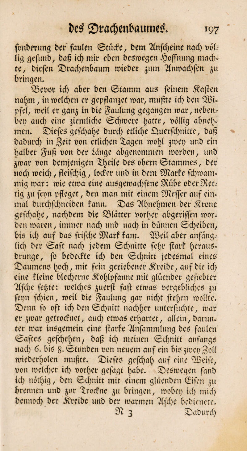 fonbetung bet* faulen Stüde, bem '2infcf>eine nad) Pol- lig gefimb, baß ich mir eben besmegen Hoffnung mach¬ te, btefen SDrachenbaum mieber $um 'Xnmachfen §u bringen. 23ePot id) a6er ben ©ramm aus feinem Mafien nahm, in melden er gepßanjet mar, mußte id) ben ®u pfei, metl er ganj in bie Häufung gegangen mar, neben* bet; aud) eine 5temlicf>e ©d)mere batte, Pollig abneh- men. ©iefes gefd>a^e burd) etlid)e ©merfd)nitte, baß baburd) in 3eit pon etlichen 5agen mohl jmep unb ein halber $uß Pon ber idnge abgenommen morben, unb 5«?ar pon bemjentgen ^h^ °bern ©tammes, ber nod) meid), ßeifdßg, (oder unb in bem Sftarfe fchmarn* mig mar: mie etma eine auSgemad)fene Stube ober Stet* tig ^u fet;n pfleget, ben man mit einem 9)?effer auf eitu mal burd)fd)neiben bann. 2)aö ?(bnehmen ber itrone gefd)a^e, nacf)bem bie 531dtter Porher abgeriffen mor¬ gen maren, immer nad) unb nad) in bünnen ©Reiben, bis id) auf bas frifcf>e 3ftarf bam. 5Bei( aber anfangs (id) ber ©aft nad) jebem ©d)nitte fef;r ßarf heraus* brunge, fo bebedte ich ben Schnitt jebesmal eines ©aumenS §od), mit fein geriebener treibe, auf bie id) eine fleine blecherne Äohlpfanne mit glüenber geftebter Tlfche fe|te: meld)es $uerß faß etmas pergeblicbes fepn fd)ien, weit bie Faulung gar nid)t ßel;en mellte, ©enn fo oft ich ben Schnitt nadlet unterfud)te, mar er jmar getrodnet, aud) etmas erhärtet, allein, barum ter mar insgemein eine ßarfe 'Jlnfammlung bet? faulen Saftes gefchehett, baß id) meinen Schnitt anfangs nad) 6. bis 8*©tunben pon neuem auf ein bis jmet; 3°d mieberholen mußte. Siefen gefdjah auf eine SSBeife, pon meld)er id) porter gefagt habe. SDeSmegen fanb id) nötfßg, ben Schnitt mit einem glüenben Sifen ju brennen unb jur ^rodne 51t bringen, mobet; id) mid) bennoch ber treibe unb ber marmen 7(fd)e bebienete. 9? 3 Saburd)