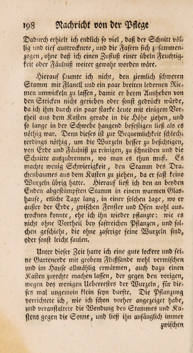 ip8 94acfjndj( eon t>cr «Pflege Saburcß erliefe trf> enbftcß fo pief, baß ber ©cßntft Pök tig unb tief auPtrocfnete, unb bie ^aftrn ftd) |nfammen* jogen, oßne baß icß einen Bnßuß einer übefn ^eueßtig* feit ober §au(niß meiter gewahr mprben mdre, hierauf faumte icß nteßt, ben jiemfid) feßmeren ©famm mit gfaueft unb ein paar breiten (ehernen 9üe* inen ummiefefn ju (affen / bamif er bepm 2(uP^eben pon ben ©triefen nießt gerieben ober fonff gebnieft mürbe, ba icß ißm bureß ein paar ftarfe feute mit einigem 93or? tfyeii au$ bem Mafien gerabe in bie d?obe Rieben, unb fo fange in ber ©d)mebe ßangenb befeffigen ließ alp c$ npt§ig mar, Senn biefep iji jur ©equemfießfeit fd)fecß? ferbingp notßig, 14m bie SSJur jefn beffer ju befußfigen, Port (Erbe unb $du(niß ju reinigen, ju fd)neiben unb bie ©dritte aup^ubrennen, mo man es cßun wuß, (£$ maeßte mentg ©eßmierigfeit, ben ©tamm be£ Sra* tßenbaumeP auP bem Waffen ^u jießen, ba er fajl feine SBut^efn übrig batte, hierauf ließ id) ben an bepben ©nben qbgeßümpften ©tarnm in einem mannen ©laP- ßaufe, edid)e Sage fang, in einer fofd)en fage, mo er außer ber (Erbe, ^mtfeßen $enfter unb Öfen mobf auP~ frpcfnen fpnnte, ebe icf? ibn mieber pflanzte; mie es nießf ohne 35orf^eiC bep faftreid)en ^Pßan^en / unb fof- eßen gefeßießt, bte ohne jafeptge feine ®utyfn ftnb, ober fonff (etd)t faulen. Unter biefer Beit ßatte icß eine gute foefere unb feu HP ©artenerbe mit grobem 3‘fuffanbe mob( Permifcßen unb im g?aufe alfmdßfig ermannen, aueß ba^u einen Waffen juteeßte mad)en (affen, ber gegen ben Porigen, tpegen bei? mentgen UeberreßeP ber ®ur^efn, für bie= fep mal ungemein ffein fepn burfte, Sie $)ßan$tmg pemd)tete icf), mie td) feßon Porßer ange^eiget ßabe# unb peranßaftete bie 5öenbung bep ©tammeP unb &a= fl entgegen bie ©qiwc* unb ließ ißn anfdnglicß immer