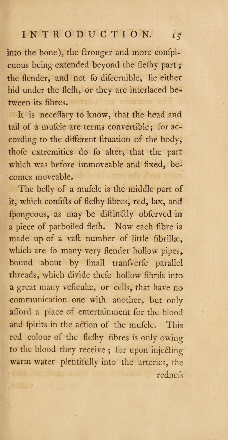 into the bone), the fironger and more confpi- cuous being extended beyond the flefhy part; the flender, and not fo difcernible, lie either hid under the flefh, or they are interlaced be¬ tween its fibres. y t It is necelfary to know, that the head and tail of a mufcle are terms convertible; for ac¬ cording to the different fituation of the body, thofe extremities do fo alter, that the part which was before immoveable and fixed, be¬ comes moveable. The belly of a mufcle is the middle part of it, which confifts of flefhy fibres, red, lax, and fpongeous, as may be diftin&ly obferved in a piece of parboiled flefh. Now each fibre is made up of a vaft number of little fibrillse, which are fo many very flender hollow pipes, bound about by fmall tranfverfe parallel threads, which divide thefe hollow fibrils into a great many veficulae, or cells, that have no communication one with another, but only afford a place of entertainment for the blood and fpirits in the aftion of the mufcle. This red colour of the flefhy fibres is only owing to the blood they receive ; for upon injecting warm water plentifully into the arteries, the rednefs