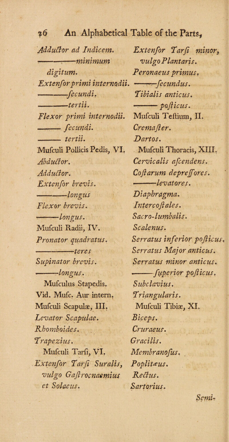 AdduCtor ad Indie em, Extenfor Tar ft minor, - -minimum vulgo Plant aris. digitum. Peronaeus primus. Extenforprimi internodii. -rr—fecundus. --fecundi. --tertii. Flexor primi internodii. — --fecundi. — - tertii. Mufculi Pollicis Pedis, VI. Abductor. AdduClor. Extenfor brevis. --—longus Flexor brevis. •——longus. Mufculi Radii, IV. Pronator quadratus» ■-teres Supinator brevis. --longus. Mufculus Stapedis. Vid. Mufc. Aur intern. Mufculi Scapulae, III. Levator Scapulae. Rbomboides. ' r Trapezius. Mufculi Tarfi, VI. Extenfor Tarfi Suralis, vulgo Gaftrocnaemius et Solaeus. Tibialis anticus. --pofticus. Mufculi Tellium, II. Cremafter. Dartos. Mufculi Thoracis, XIIL Cervicalis afeendens. Coftarum deprejfores. -—lev at ores. Diaphragma. Inter coft ales. Sacro-lumbalis. Scalenus. Serratus inferior pofticus Serratus Major anticus. Serratus minor anticus. --fuperior pofticus, Subclavius. Triangularis. Mufculi Tibiae, XL Biceps. Cruraeus. ■ . i *■ Gracilis. Membranofus. Poplitxus. Re this. Sartor ius. Semi