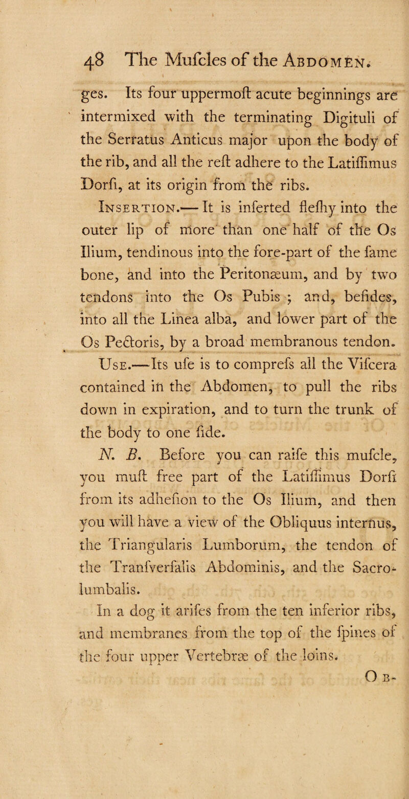 \ 1 ges. Its four uppermoft acute beginnings are intermixed with the terminating Digituli of the Serratus Anticus major upon the body of the rib, and all the reft adhere to the Latiffimus Dorfi, at its origin from the ribs. Insertion.— It is inferted flefhy into the outer lip of more than one half of the Os Ilium, tendinous into the fore-part of the fame bone, and into the Peritonaeum, and by two tendons into the Os Pubis ; and, befides, into all the Linea alba, and lower part of the Os Pedforis, by a broad membranous tendon. Use.—Its ufe is to comprefs all the Vifcera contained in the Abdomen, to pull the ribs down in expiration, and to turn the trunk of the body to one fide. N. B. Before you can raife this mufcle, you mull free part of the Latiflimus Dorfi from its adhefion to the Os Ilium, and then you will have a view of the Obliquus internus, the Triangularis Lumborum, the tendon of the Tranfverfalis Abdominis, and the Sacro- lumbalis. In a dog it arifes from the ten inferior ribs, and membranes from the top of the fpines of the four upper Vertebras of the loins. a a. O B~