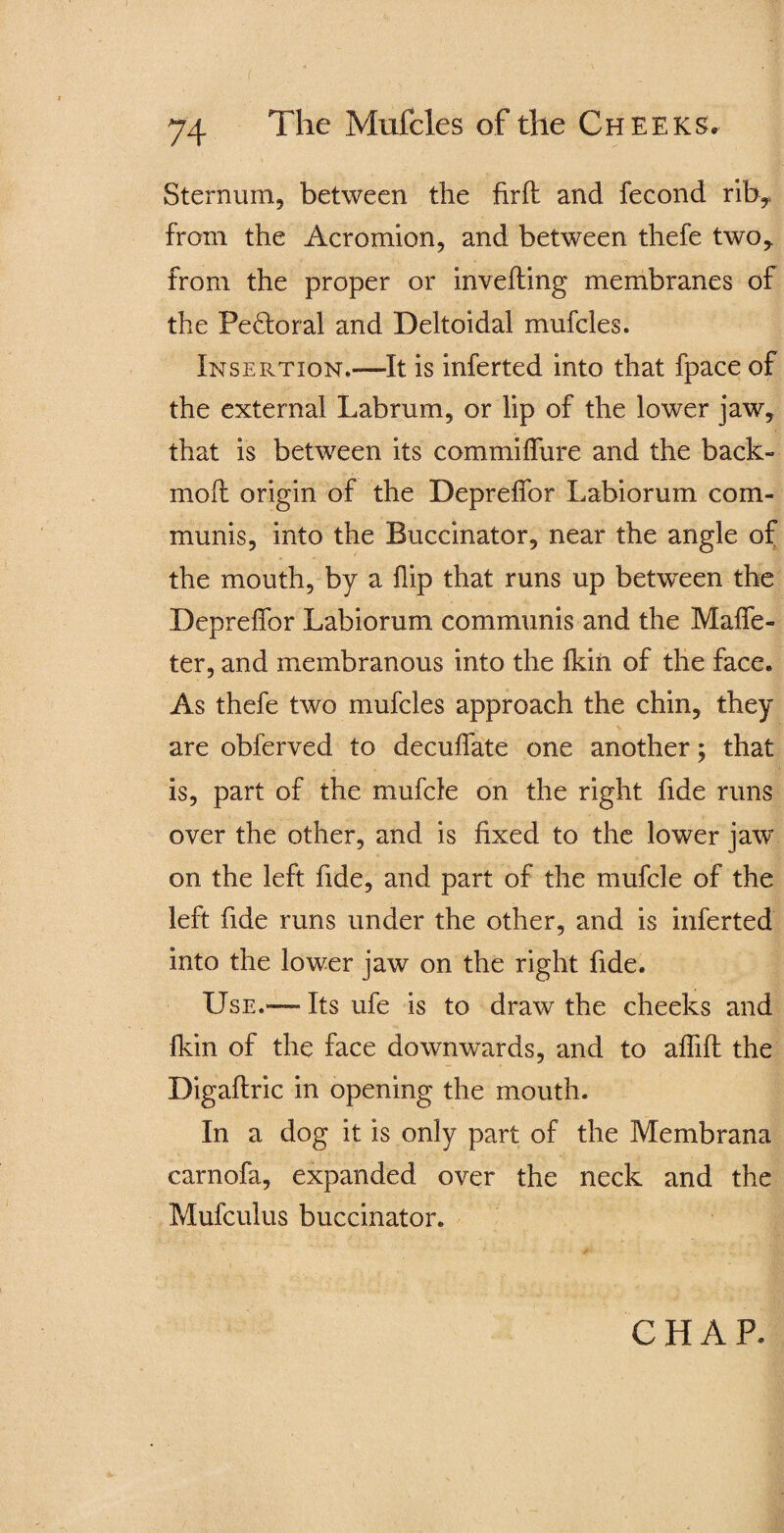 Sternum, between the firfl and fecond riby from the Acromion, and between thefe two,, from the proper or invefling membranes of the Pectoral and Deltoidal mufcles. Insertion,—It is inferted into that fpace of the external Lab rum, or lip of the lower jaw, that is between its commiffure and the back- mofl origin of the Depreffor Labiorum com¬ munis, into the Buccinator, near the angle of the mouth, by a hip that runs up between the Depreffor Labiorum communis and the Maffe- ter, and membranous into the fkin of the face. As thefe two mufcles approach the chin, they are obferved to decuffate one another; that is, part of the mufcle on the right fide runs over the other, and is fixed to the lower jaw on the left fide, and part of the mufcle of the left fide runs under the other, and is inferted into the lower jaw on the right fide. Use.-—Its ufe is to draw the cheeks and fkin of the face downwards, and to affifl the Digaflric in opening the mouth. In a dog it is only part of the Membrana carnofa, expanded over the neck and the Mufculus buccinator.