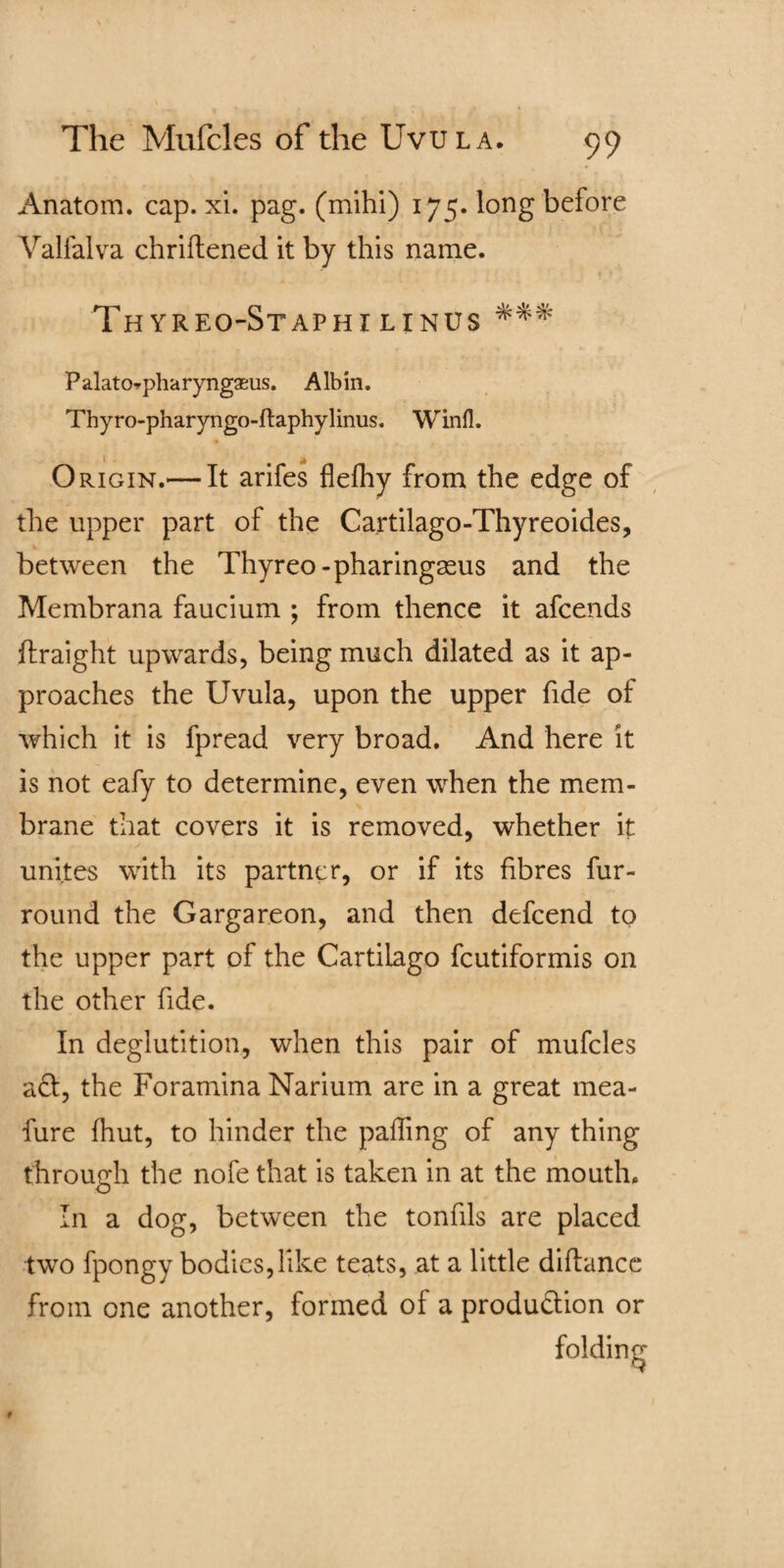 Anatom, cap. xi. pag. (mihi) 175. long before Valfalva chriftened it by this name. Thyreo-StaphtLINUS *** Palatopharyngaeus. A lb in. Thyro-pharyngo-ftaphylinus. Winfl. • * Origin.— It arifes flefhy from the edge of the upper part of the Cartilago-Thyreoides, between the Thyreo-pharingasus and the Membrana faucium ; from thence it afcends fhraight upwards, being much dilated as it ap¬ proaches the Uvula, upon the upper fide of which it is fpread very broad. And here it is not eafy to determine, even when the mem¬ brane that covers it is removed, whether it unites with its partner, or if its fibres fur- round the Gargareon, and then defeend to the upper part of the Cartilago feutiformis on the other fide. In deglutition, when this pair of mufcles ad, the Foramina Narium are in a great mea- fure (hut, to hinder the palling of any thing through the nofe that is taken in at the mouth* In a dog, between the tonfils are placed two fpongy bodies,like teats, at a little diftance from one another, formed of a produ&ion or folding