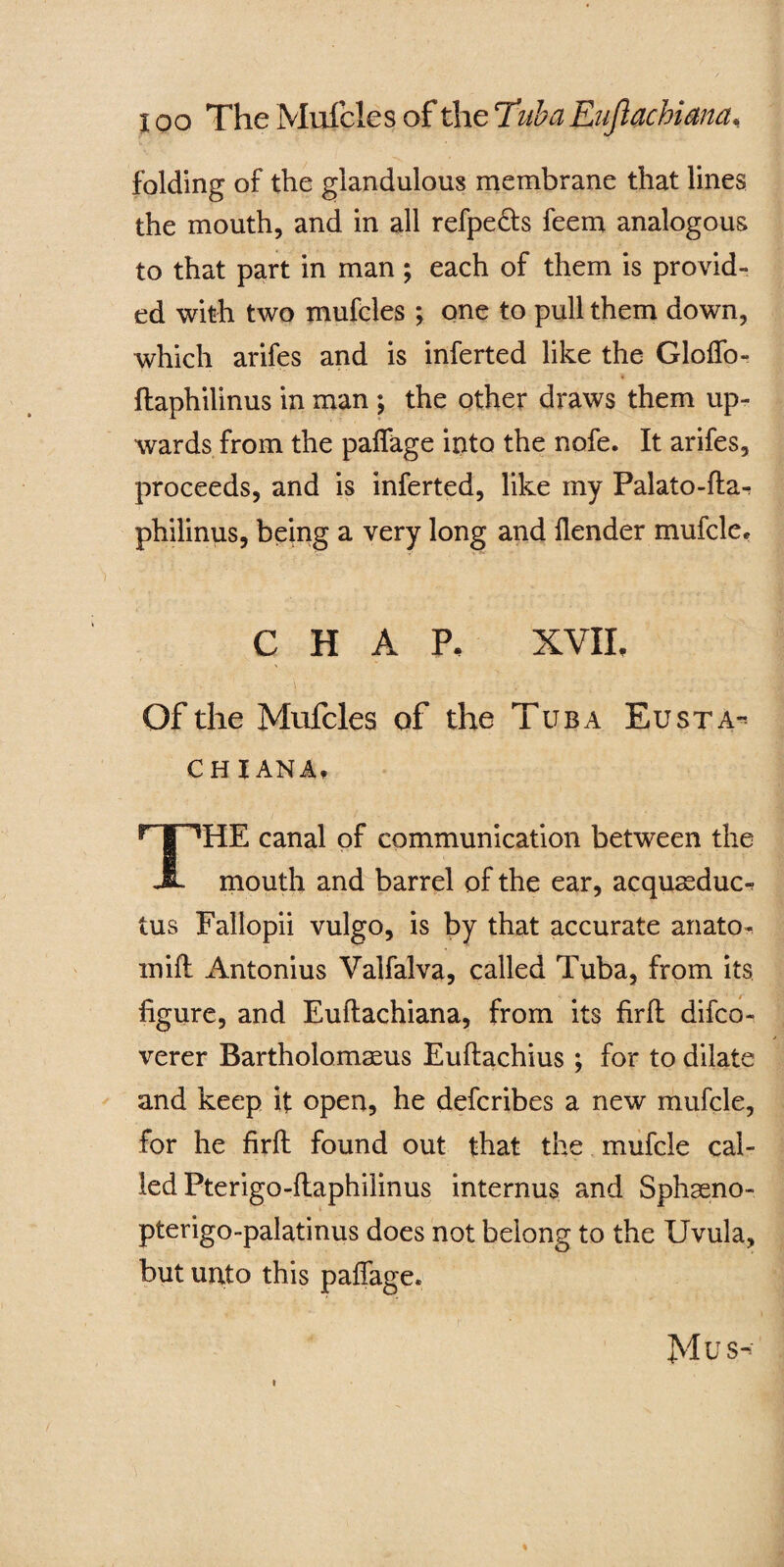 folding of the glandulous membrane that lines the mouth, and in all refpedts feem analogous to that part in man ; each of them is provid¬ ed with two mufcles ; one to pull them down, which arifes and is inferted like the Gloffo- ftaphilinus in man ; the other draws them up¬ wards from the paffage into the nofe. It arifes, proceeds, and is inferted, like my Palato-fta- philinus, being a very long and flender mufcle* CHAP, XVIL Of the Mufcles of the Tuba Eusta- CHI AN A, r | *HE canal of communication between the JL mouth and barrel of the ear, acqussduc*? tus Fallopii vulgo, is by that accurate anato- mifi Antonius Valfalva, called Tuba, from its figure, and Euftachiana, from its firft difco- verer Bartholomaeus Euftachius ; for to dilate and keep it open, he defcribes a new mufcle, for he firft found out that the mufcle cal¬ led Pterigo-ftaphiiinus internus and Sphseno- pterigo-palatinus does not belong to the Uvula, but unto this paffage. Mus-> i