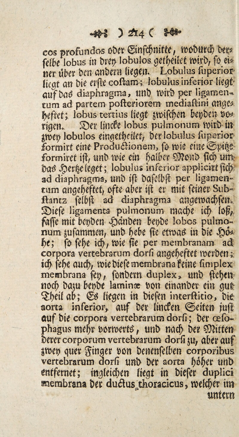 t ) &-4 C Ml- cos profundos ober ©nfcfjnitfe, Wßburd? bm fetklobus in brei> lobuios ^etfyeikt wirb, fo ei* ueruber ben anbet» liefen. Lobulus fuperio* fieöt an bie erfle cofbrn; lobukis inferior liegt ÖUfbaö diaphragma, unb Wirb per ligamen«, tum ad partem pofteriorera mediaftini attge* fycftcf; lobus tertius liegt $wifef?en be$be» so* tigern S)er linde lobus pulmonum wirb in gwep lobuios timükiict, bet lobulus fageriot formirt eine Proäudionem, fb wie eine formiref ijl, mit? wie ein paifeer ^pnbjicp ntn* bat> ^er^elegef ; lobulus inferior applieitf fiel? ad diaphragma, unb ift bafelbff per ligamen- «um angebeftef, ofte aber tp: er mit feiner Sub- ftantz felfejl ad diaphragma angewaclfetn SDiefe Hgamenta pulmonum mache id) iß|fy, faffe mit betjöen «f)dnbe» benbe lobos pulmo« num pfammen, unb fcbe jie etwaö in bie Jpo* bt; fb fe|e k|, Wie fie per membranam ad eorpora vertebrarurn dorfi angebeftet werben; icf) fehe auch, Wie biefe membranafeine fimplex meimbrana fei>, fbnbevn duplex» ttnb fielen noch bap bet>be lamin® bon einanber ein gut ^f)eil ab; €$ liegen in biefen interftkio, bk aorta inferior,, auf ber linden ©eiten jufl öuf bie eorpora vertebrarurn dorfi; ber oefo- phagus me^r bötwerf£, unb nad) ber Bitten berer corporum vertebrarurn dorfi p, aber auf fwen quer Ringer bon benenfelben eorporibus vertebrarurn dorfi unb bet aorta f)6f)er unb entfernet; tngleicben liegt in biefer duplici «lembrana ber duflus thoracicus, welcher im untern I