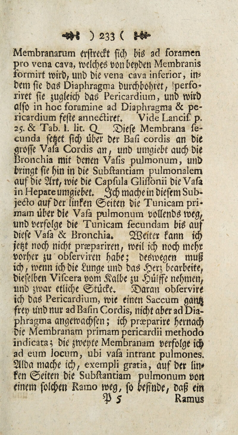 Membranarum erffrecft ft# bk ad foramen pro vena cava, wd#e$ »on bepben Membranis formirt Wirb, uns) bk vena cava inferior, in* bcm fte baS Diaphragma bur#bof)ret, ;perfo» rivet fte juglet# baö Pericardium, unb wirb ölfo in hoc foramine ad Diaphragma & pe¬ ricardium fefie anne&iref* Vide Lancif p. 25. & Tab. i. lic. Q_ SDiefe Membrana fe- cunda fe^et ft# über ber Bafi cordis an bie Stoffe Vafa Cordis an, unb umgiebt au# bk Bronchia mit benen Vafis pulmonum, unb bringt fte fjin in bie Subftantiam pulmonalem auf bte 2frt, wie bie Capfula Gliflonii bie Vafä in Hepateumgiebet, $# ma#e in biefem Sub- je<51o auf Der linfen ©eiten bte Tunicam pri- matn über bie Vala pulmonum »offenbö weg/ unb »erfolge bie Tunicam fecundam bk auf biefe Vafa & Bronchia* SBetter fann i# jebt no# ni#t prapariren, weii i# no# mehr Dörfer ju obferviren fmbe; beöwegen mug i#, wenn t# bie £itnge unb ba$ ^erj bearbeite, biefelben Vifcera »om 5ta(be $u Jpülffe neunten, unb jwar etli#e ©tücfe» SDaran obfervire t# baö Pericardium, wie einen Saccum gan| freu ünb nur ad Bahn Cordis, ni#t aber ad Dia¬ phragma angewa#fen; i# praparire fterna# Die Membranam primam pericardii methodo iudicata; bie ;wet)fe Membranam »erfolge i# ad eum locum, ubi vafa intrant pulmones. Sifba niö#e i#, exempli gratia, auf ber firt«» fen ©eiten bie Subftantiam pulmonum »ott einem fol#en Ramo weg, fo bef'nbe# bag ein ^5 Ramus